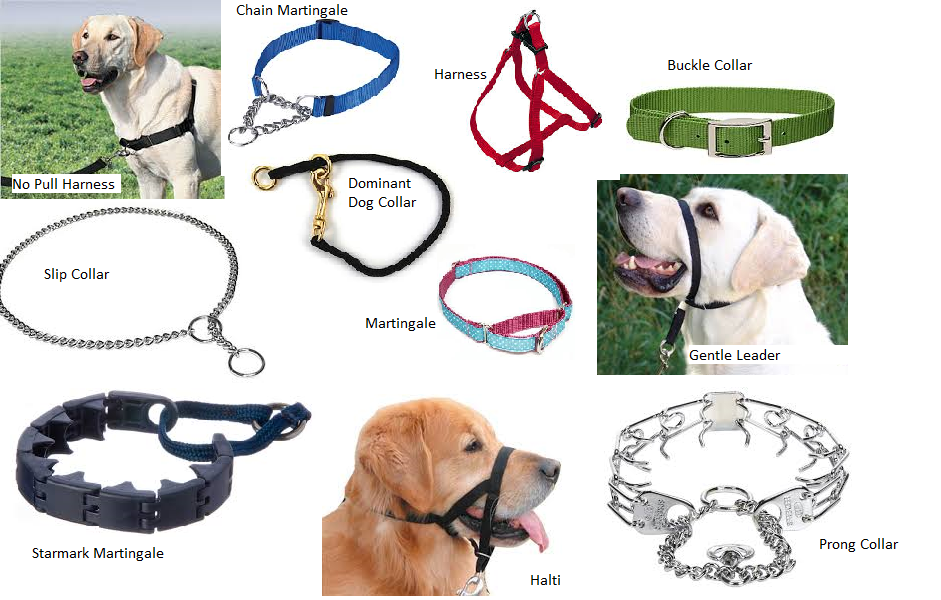 best chokers for dogs