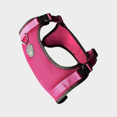 pink harness.jpeg
