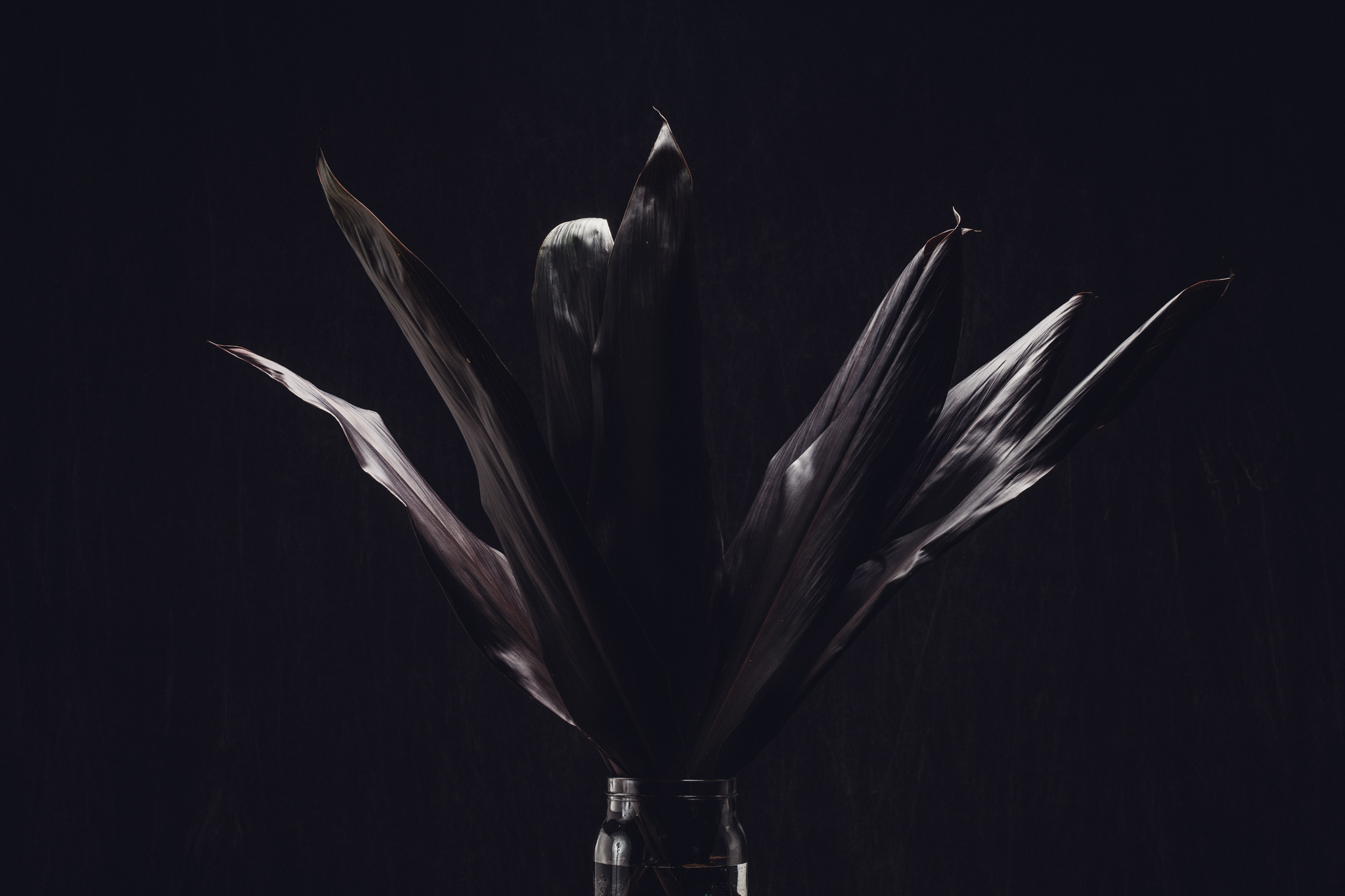 LEAFY_TEST_0102-Edit.jpg