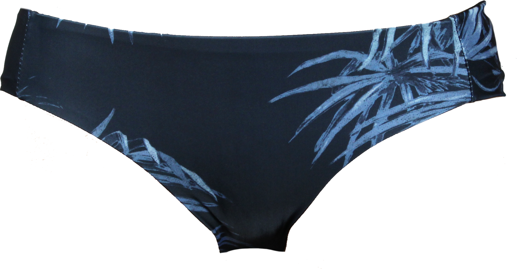 ARIEL PALM.png