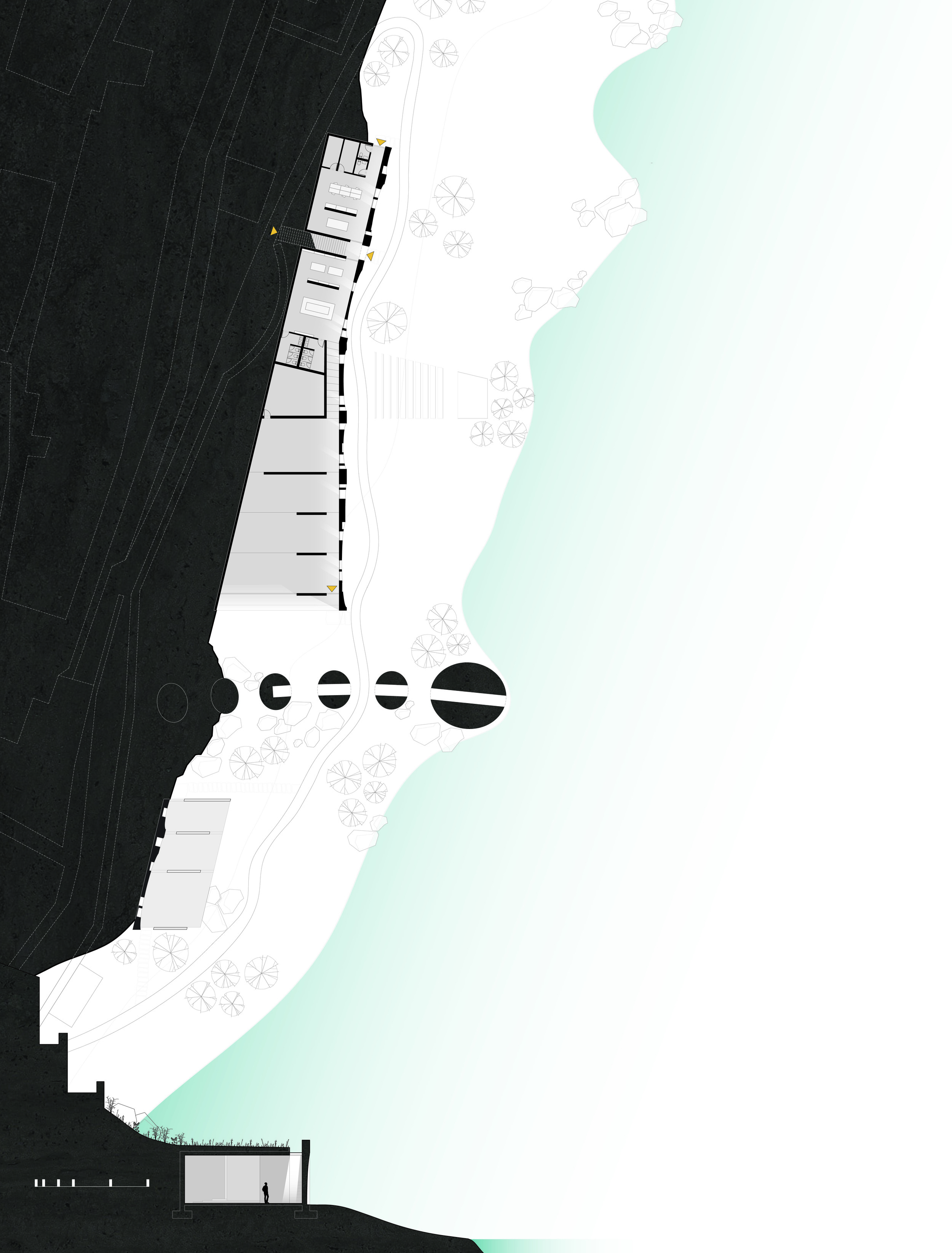 PLAN and SECTION V3-01.jpg