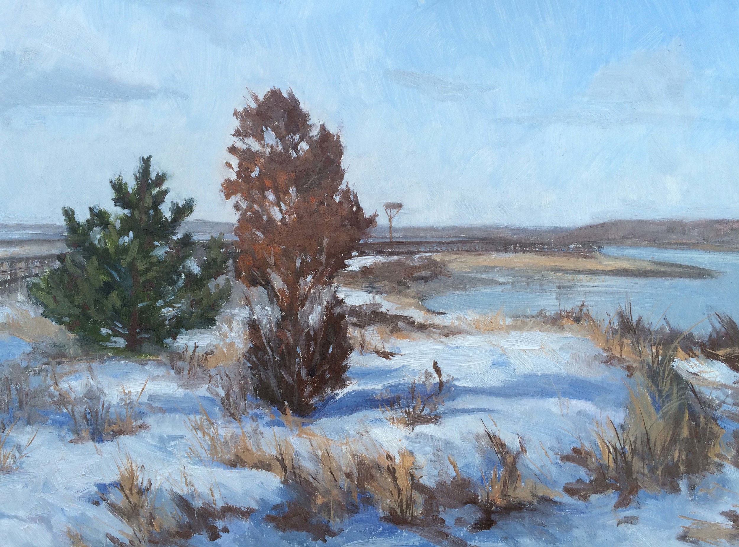 Munn Point in the snow, oil on panel, 12" x 16"