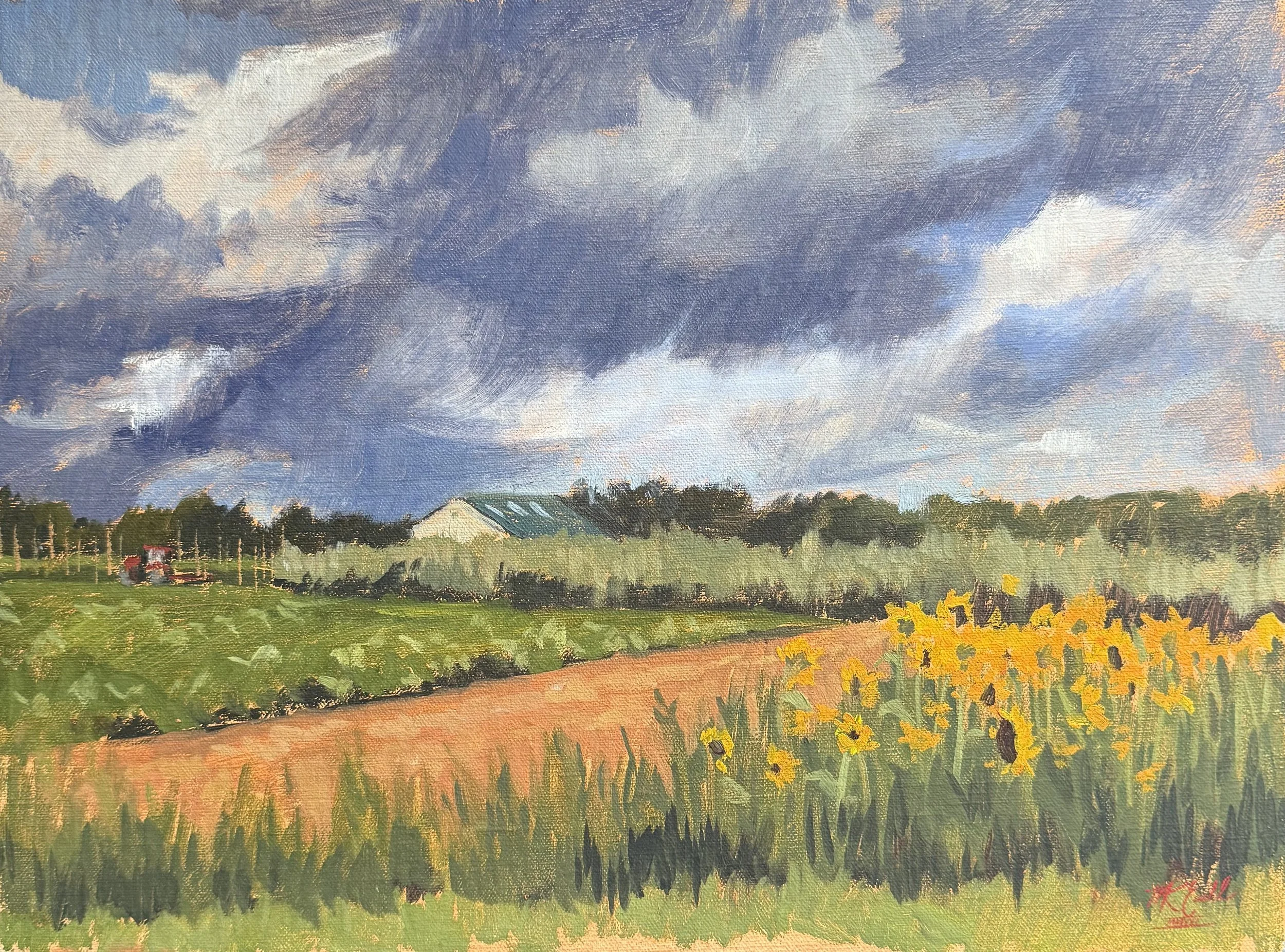 Sunflower Fields, storm.jpeg