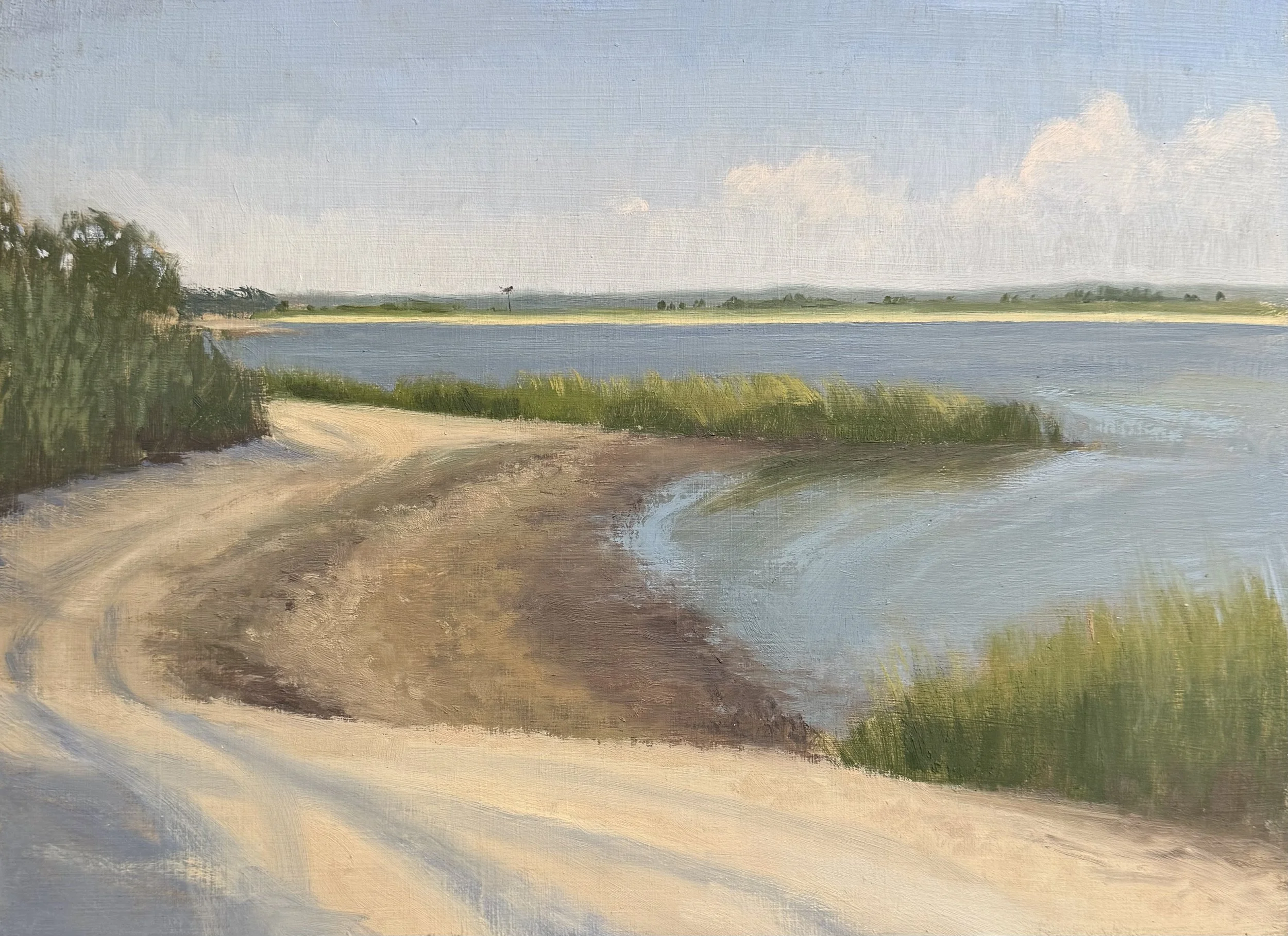 Summer, bay view.jpeg