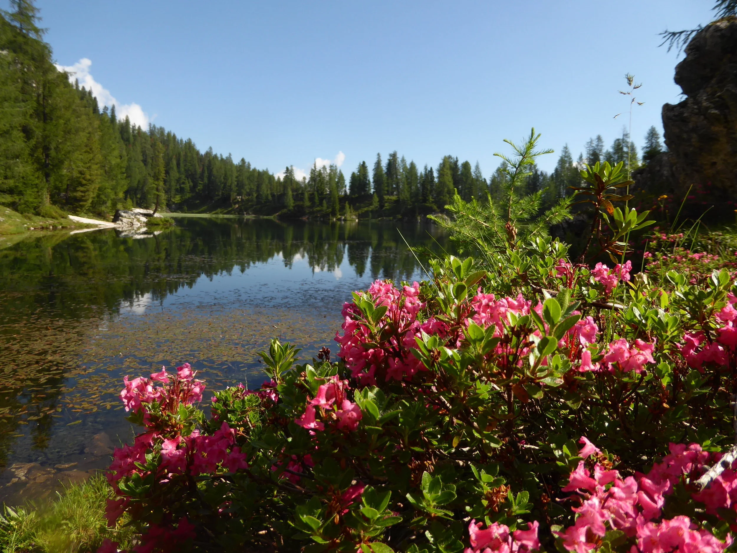 Yoga and Mindful Hiking, Dolomites, Italy 