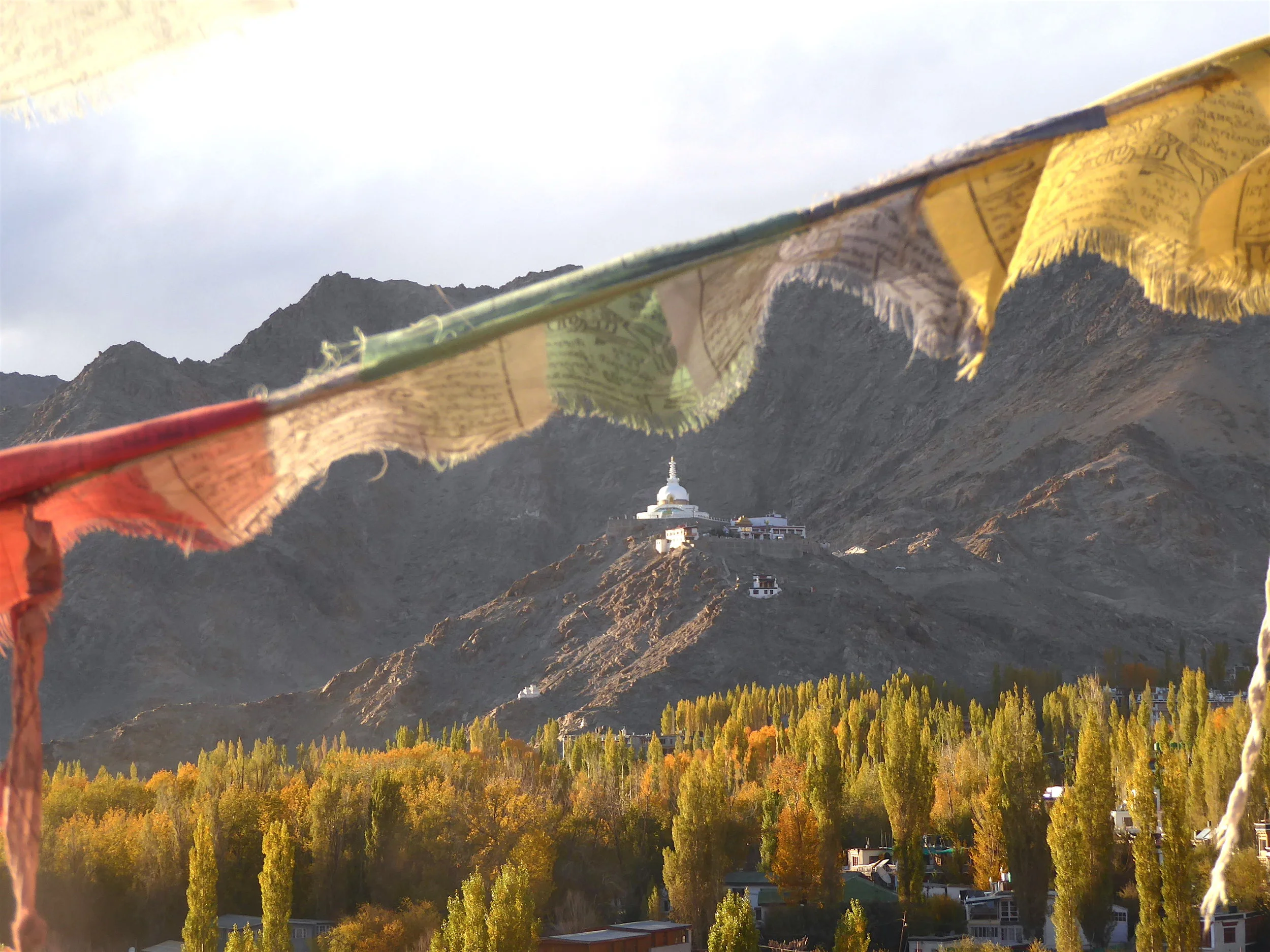 Cultural Exploration with Trekking &amp; Yoga in the Himalayan Kingdom of Ladakh