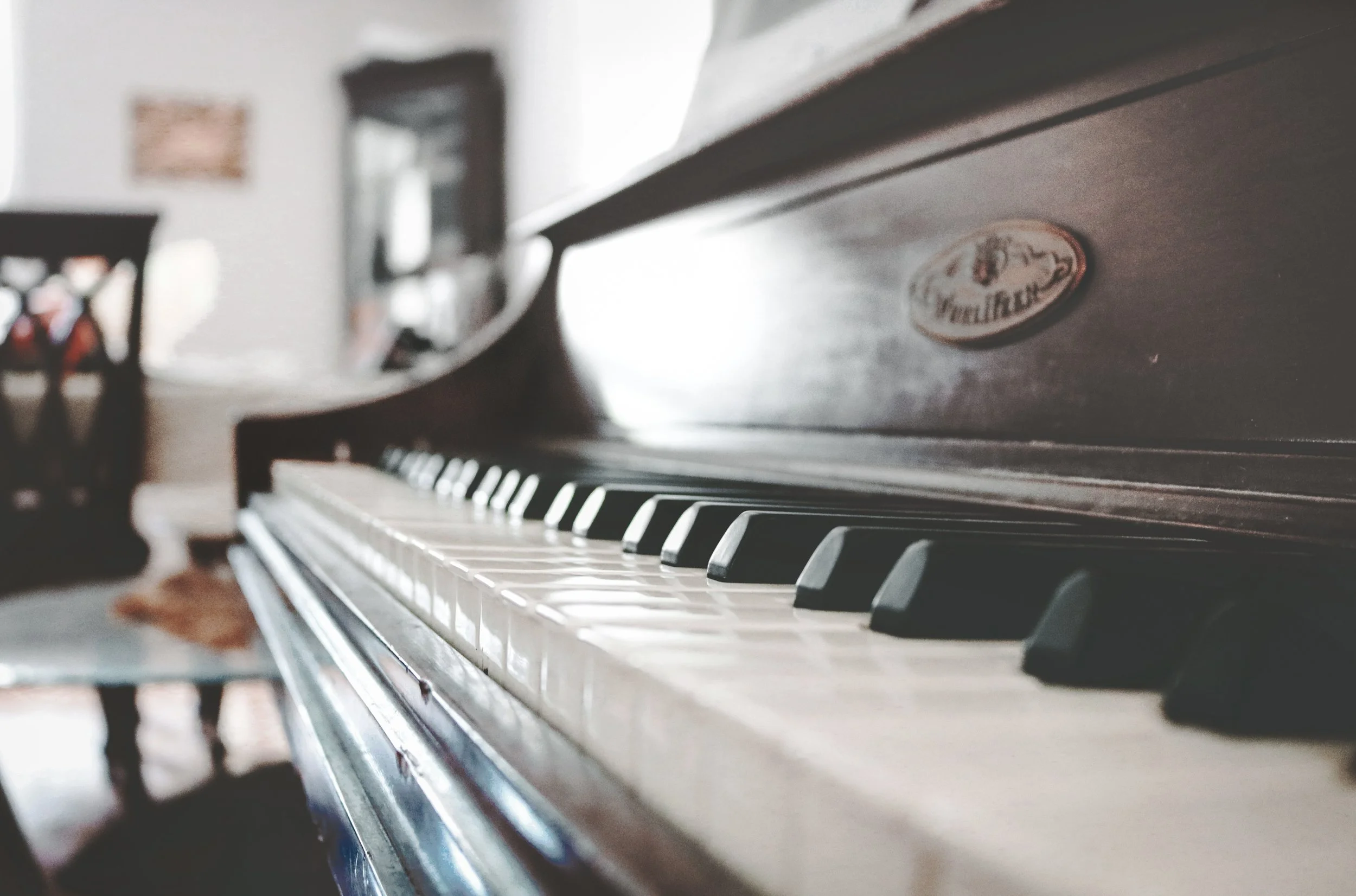Photo by Kyle Arcilla on Unsplash