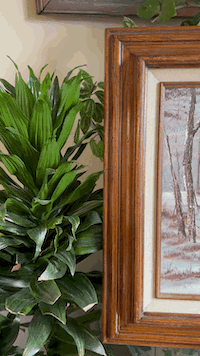 VideoToGif_GIF 7.GIF