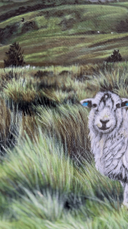 VideoToGif_GIF 22.GIF