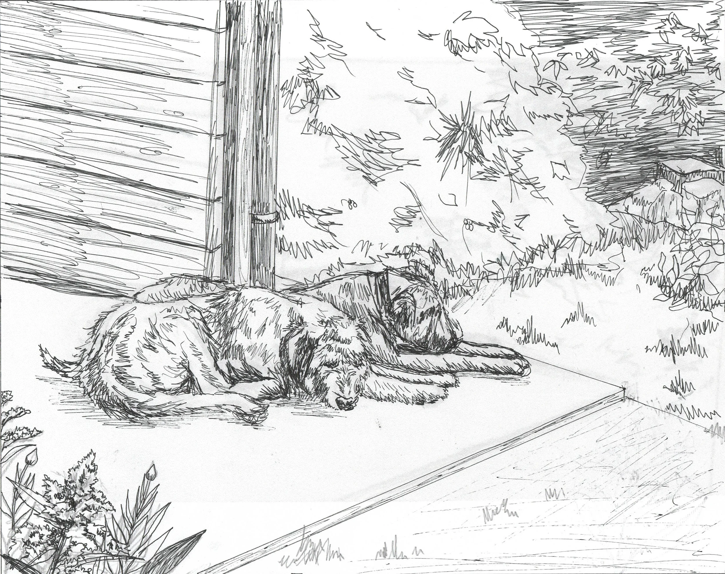 Wolfhounds sketch.jpg