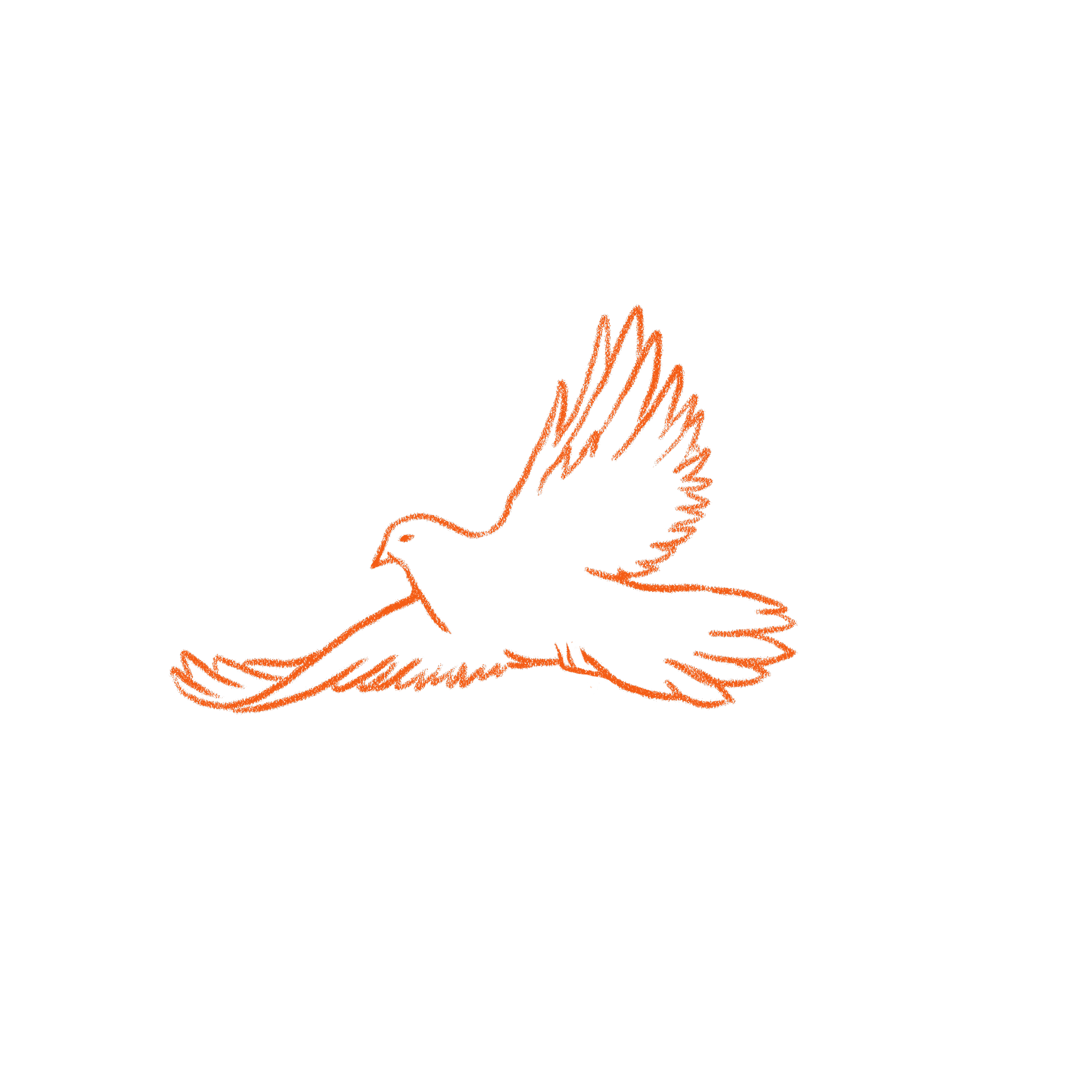 9_plasticbird_draw orange.png