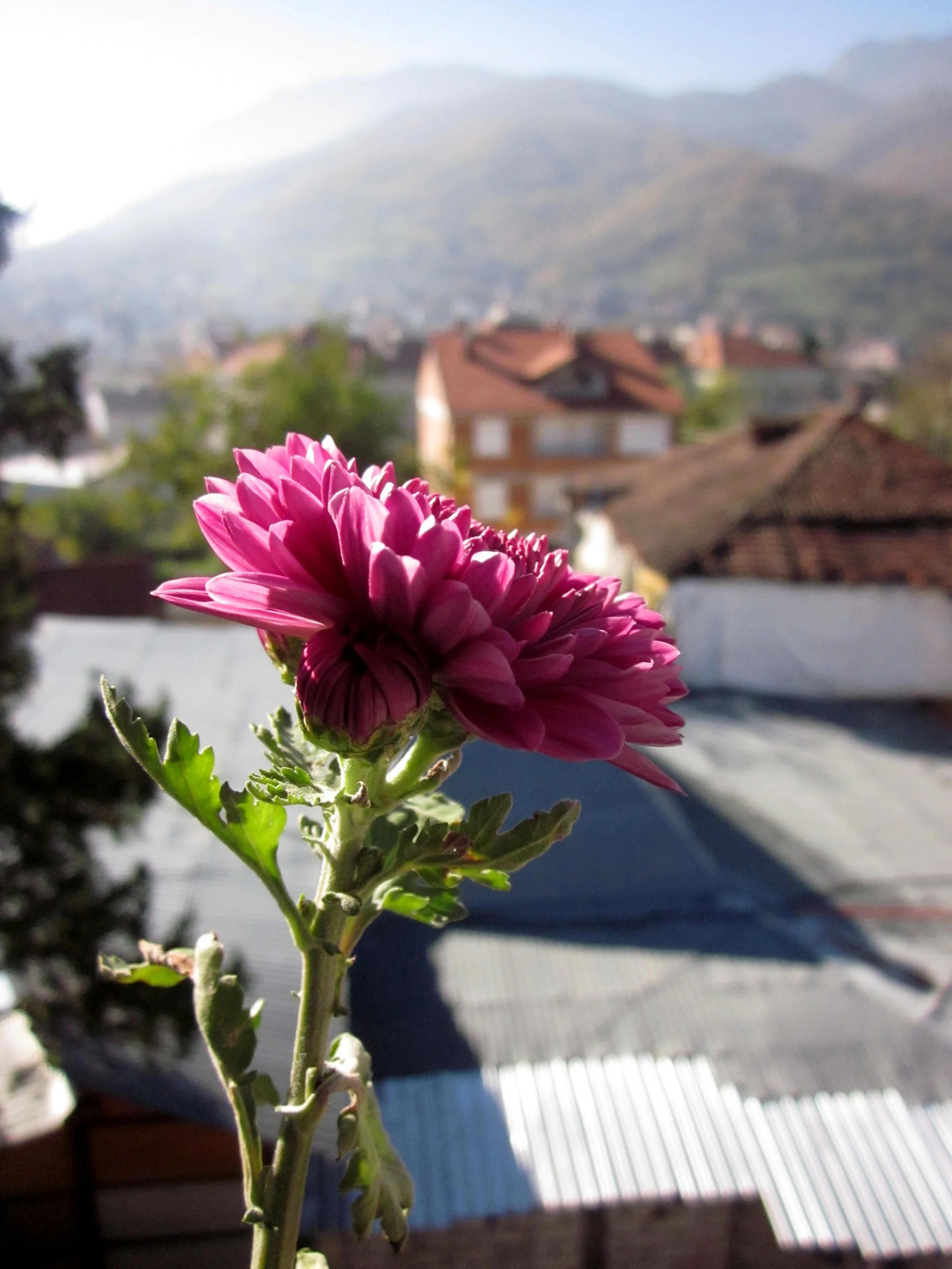 Peja, Kosova.