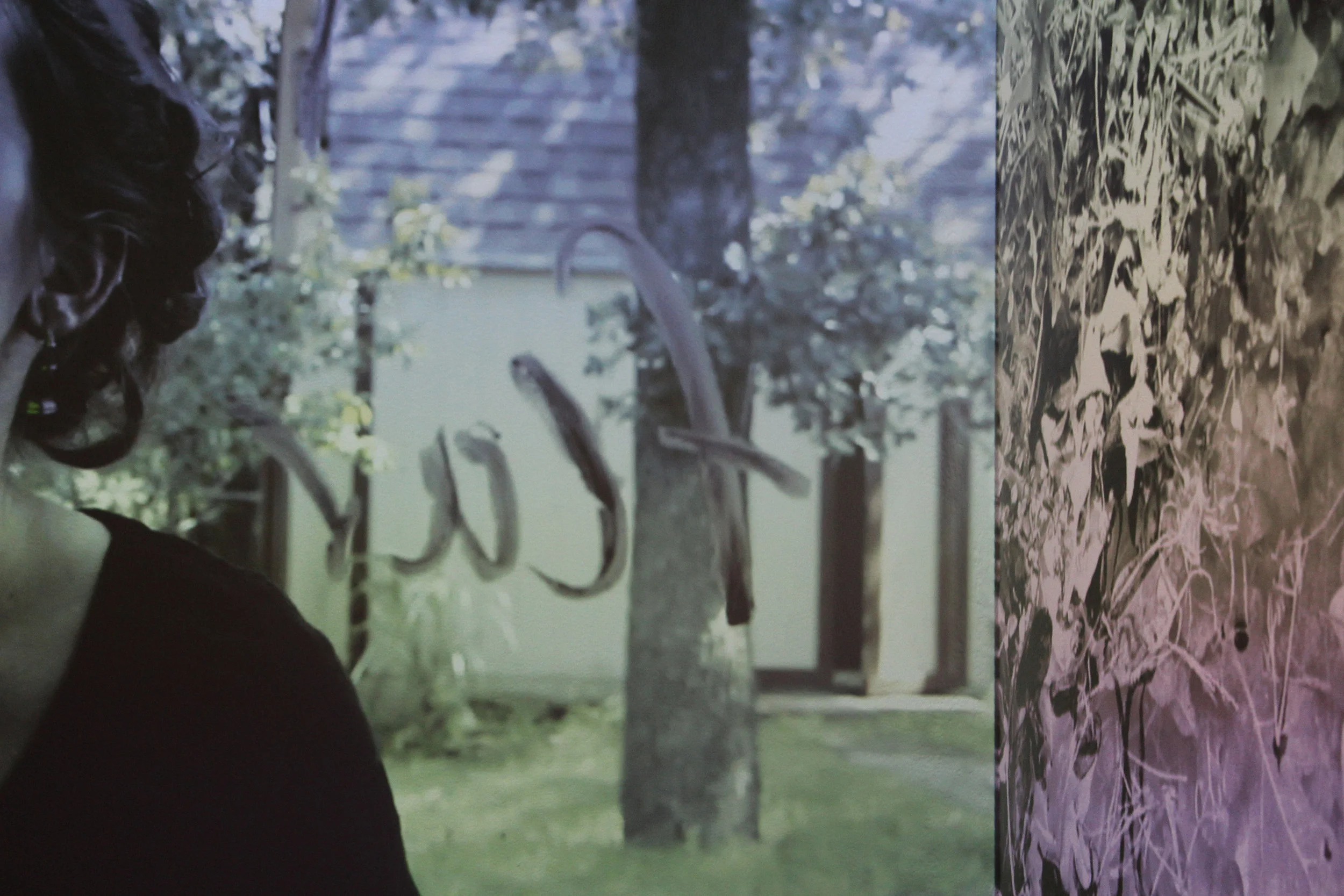 installation_image5 - Erin Schalk.jpg