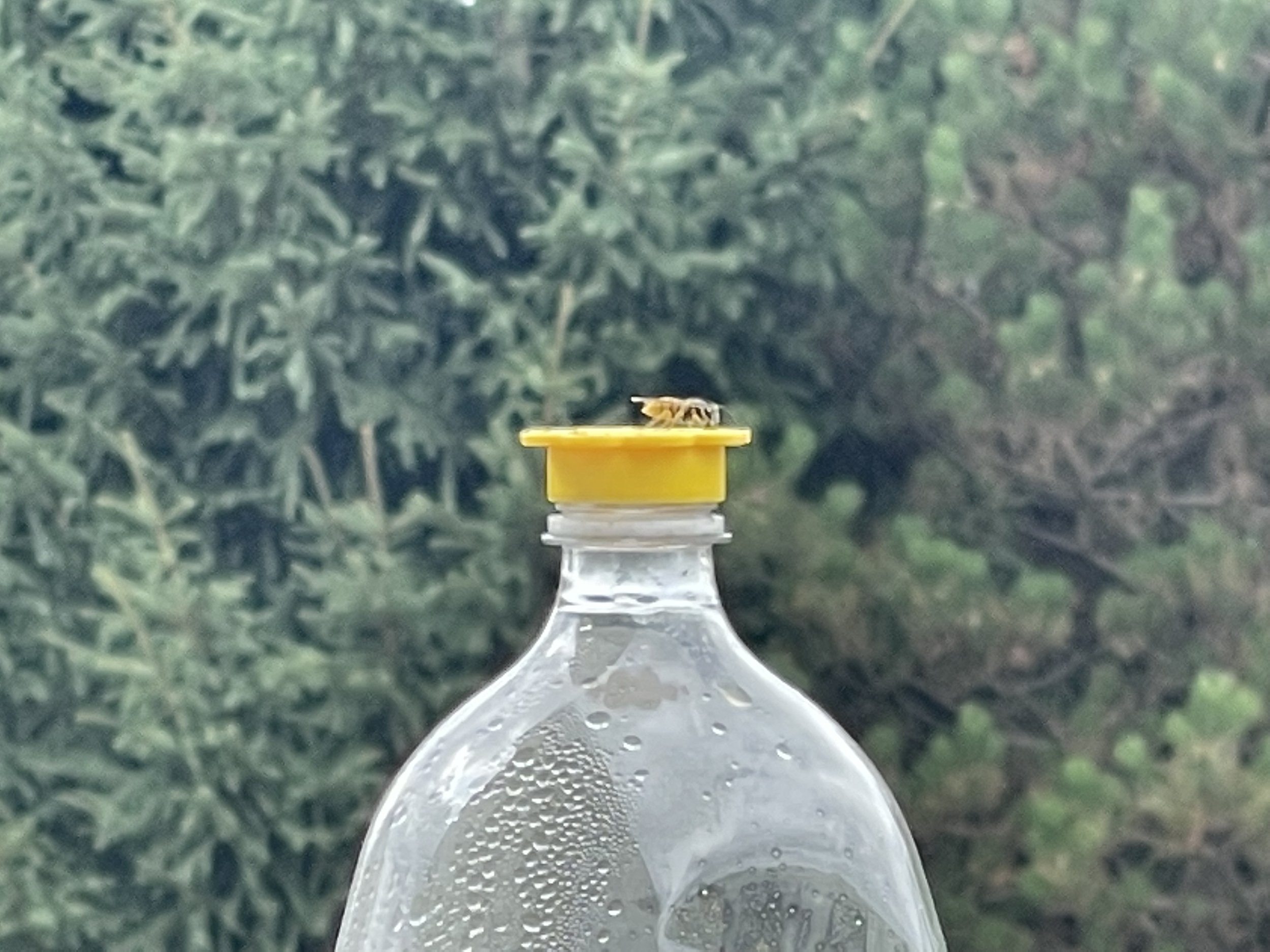 146E954D-B483-49E0-85E8-1D76B4C1BB84.jpeg