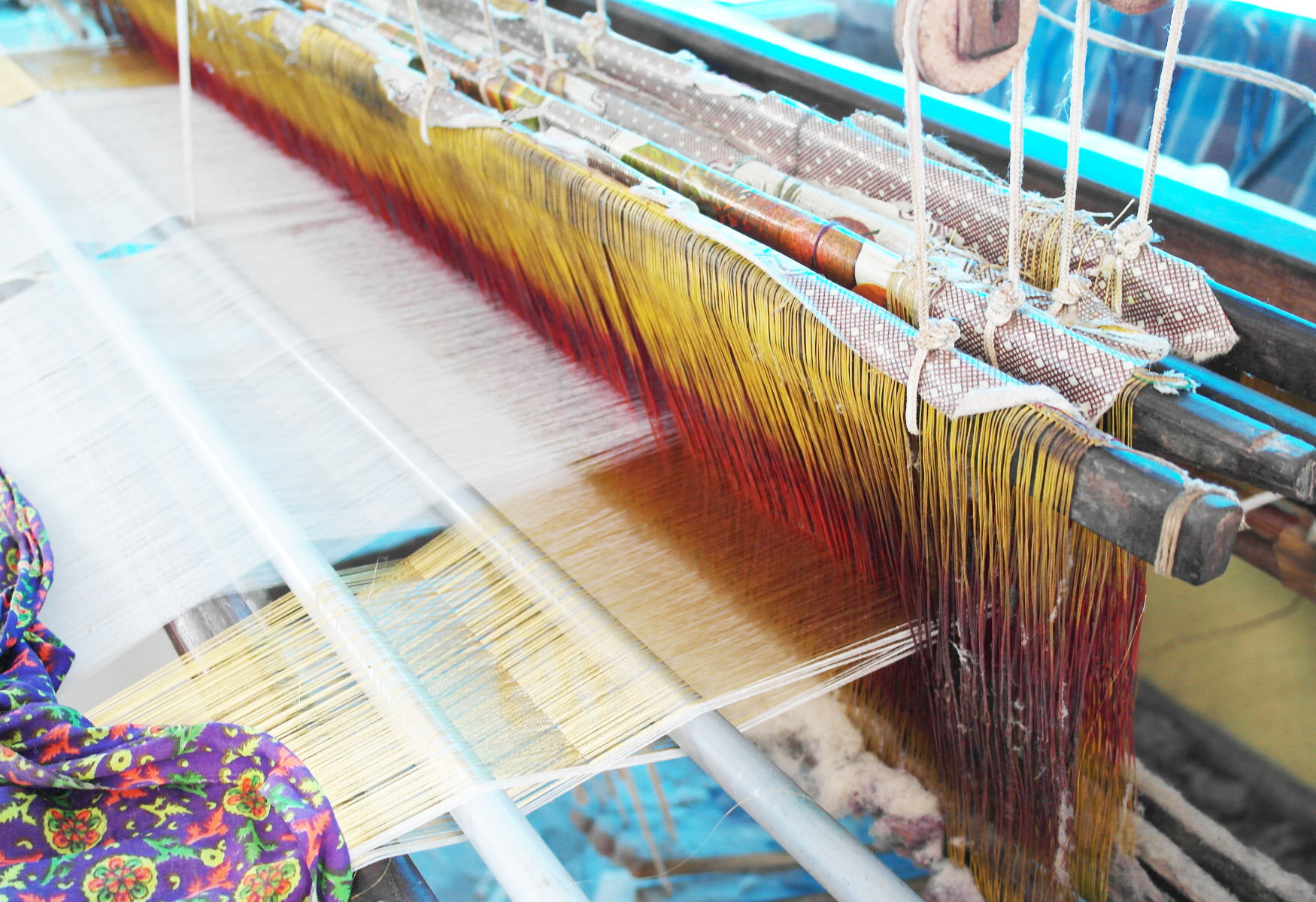 Cotton Kerela GOLD Weaver.jpg