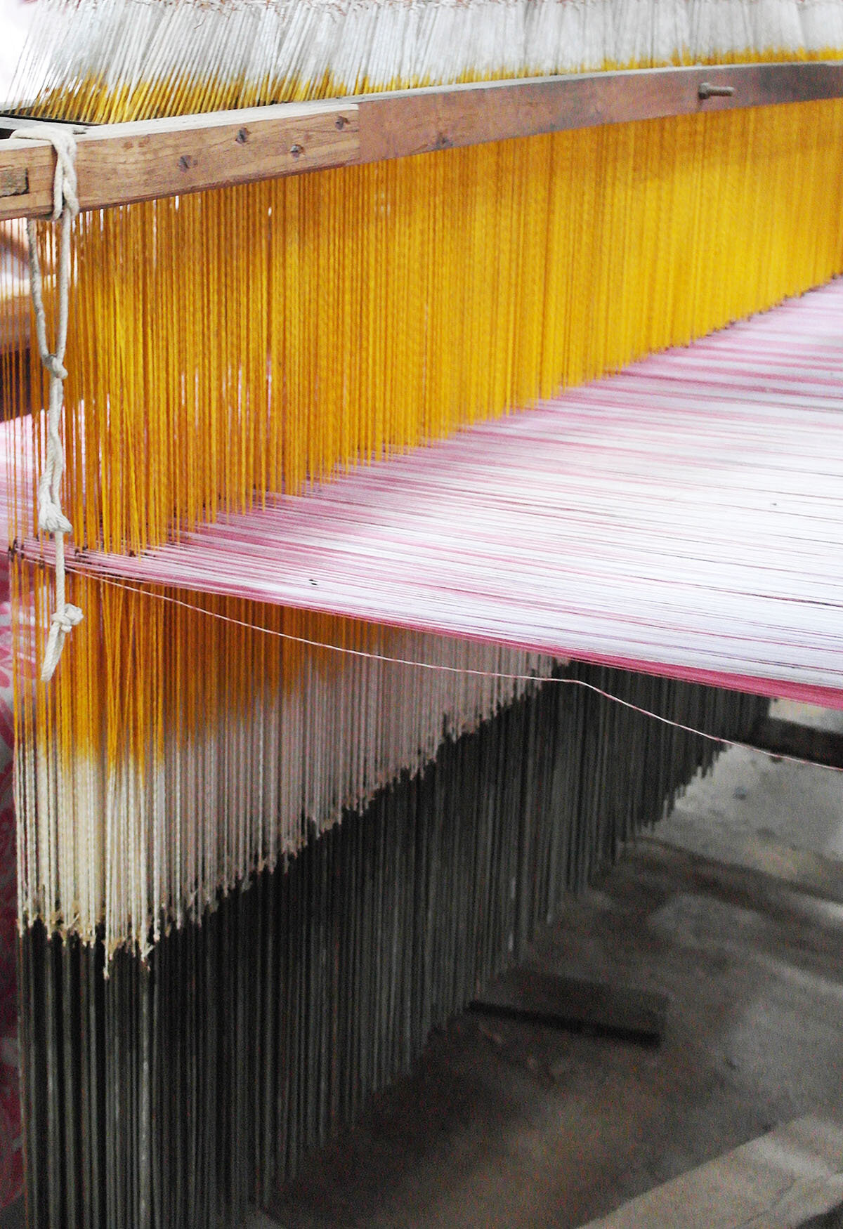 Cotton Kerela india Weaver.jpg