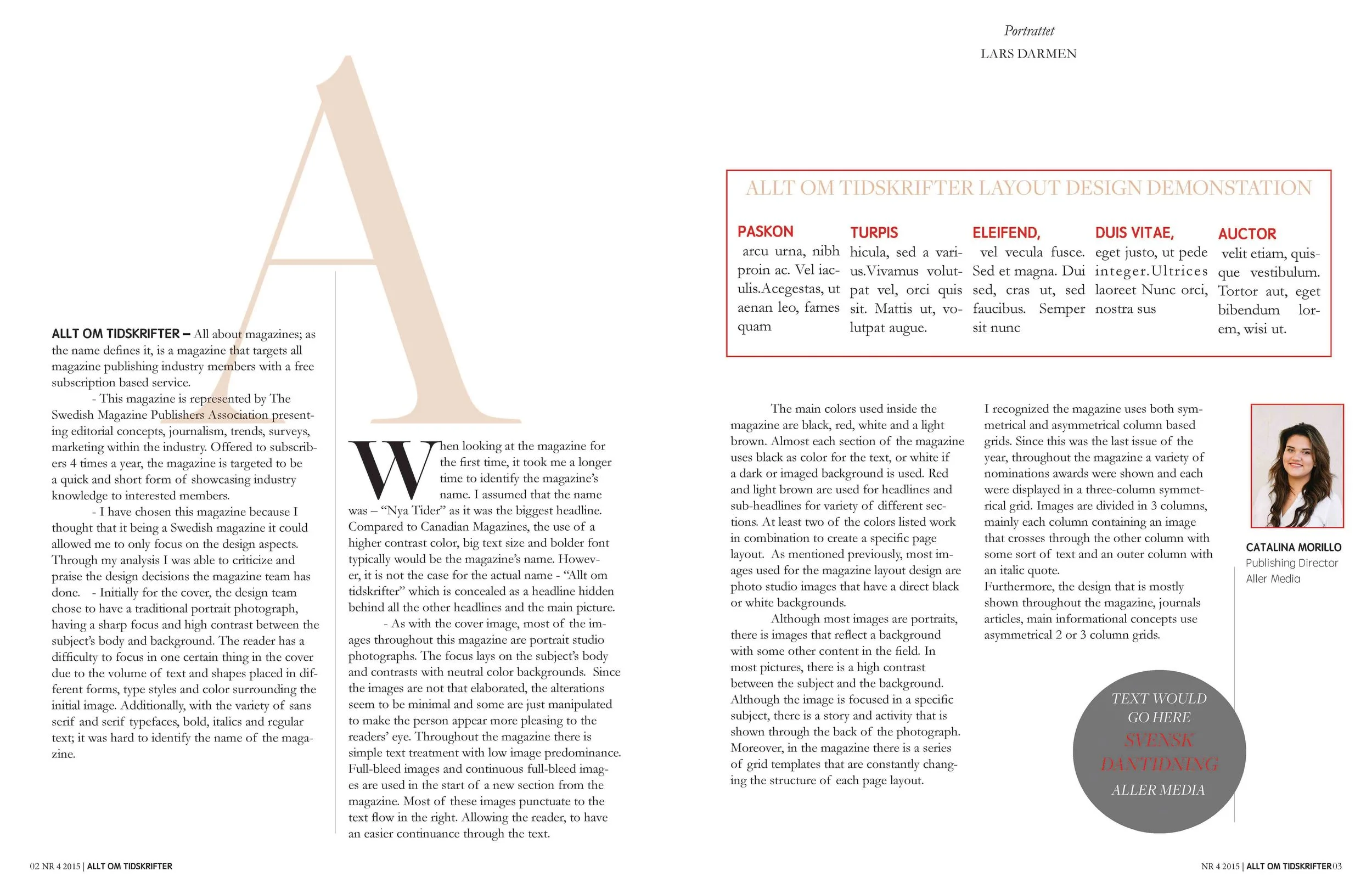 Design concept analysis and essay