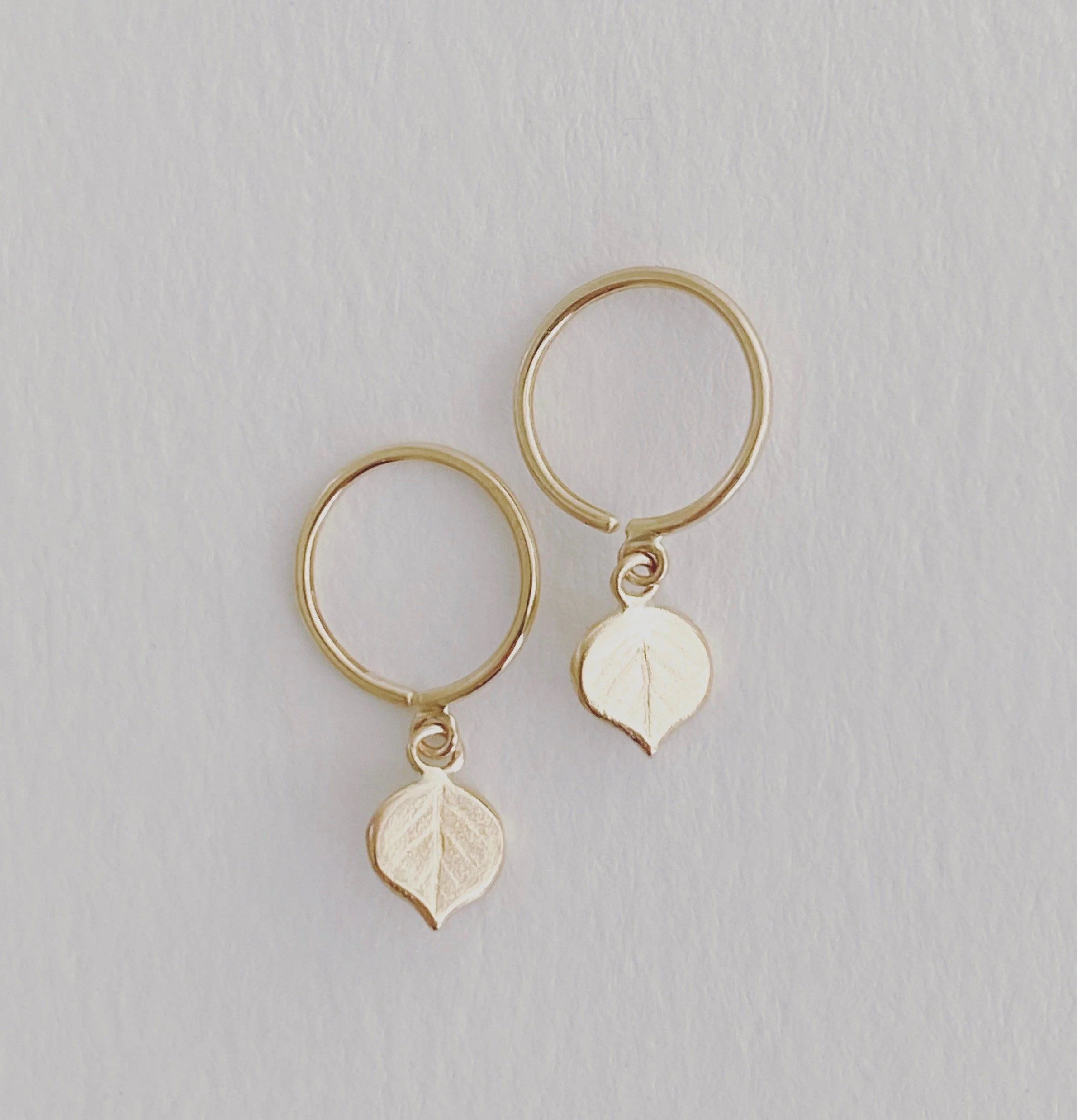 Mini Aspen Hoops