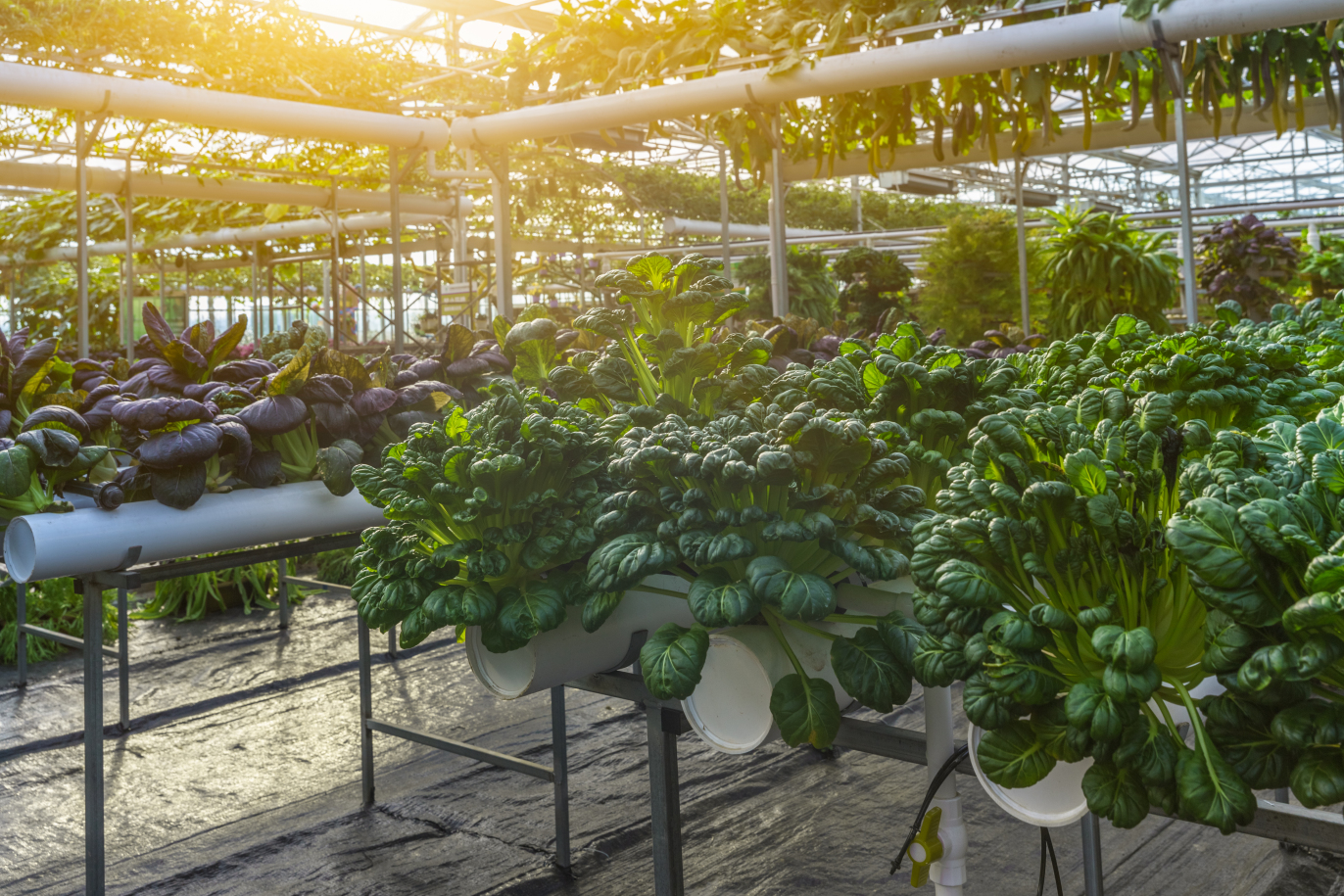 Agrilyst raises another $1.5M for its intelligent indoor farming platform