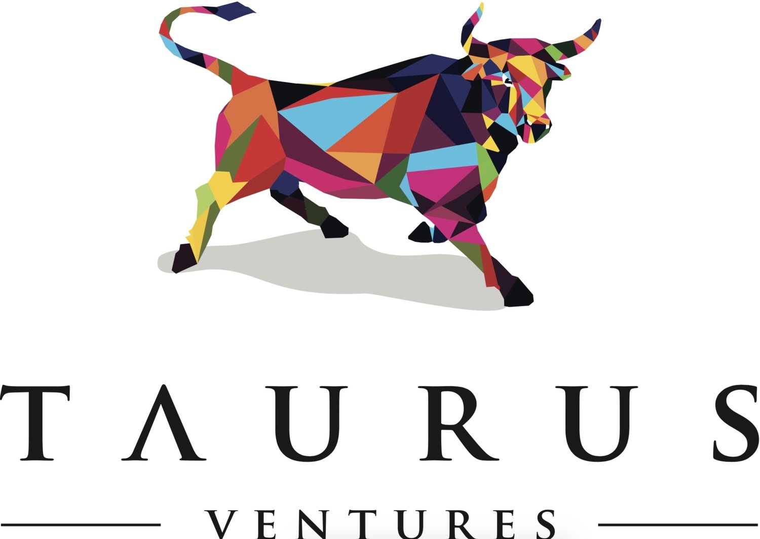 Taurus Ventures