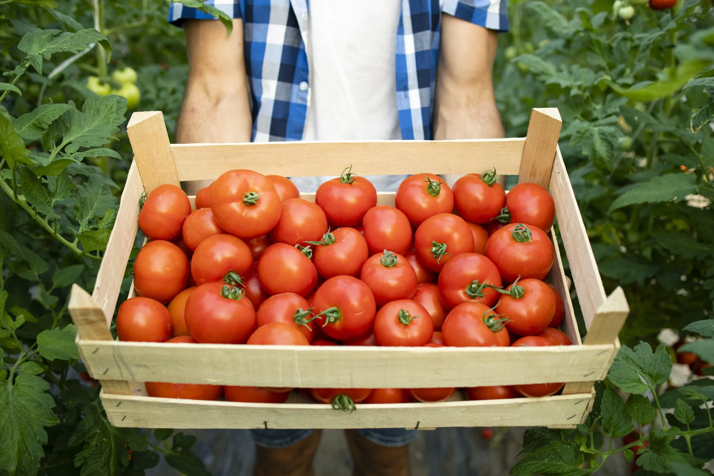 ProducePay lands $140M to expand digital produce platform