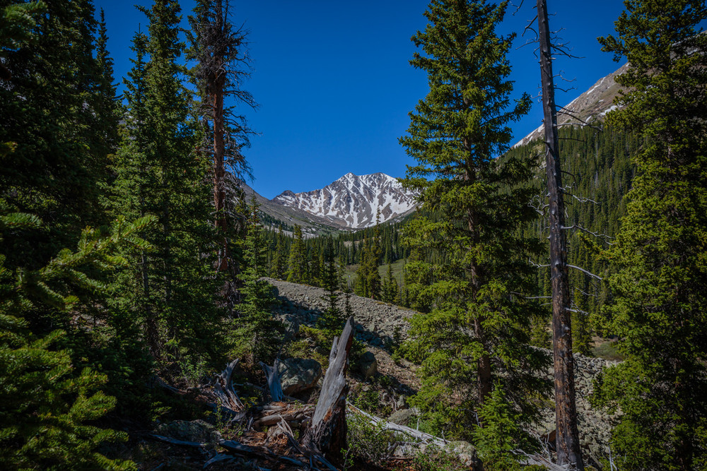 La Plata Gulch