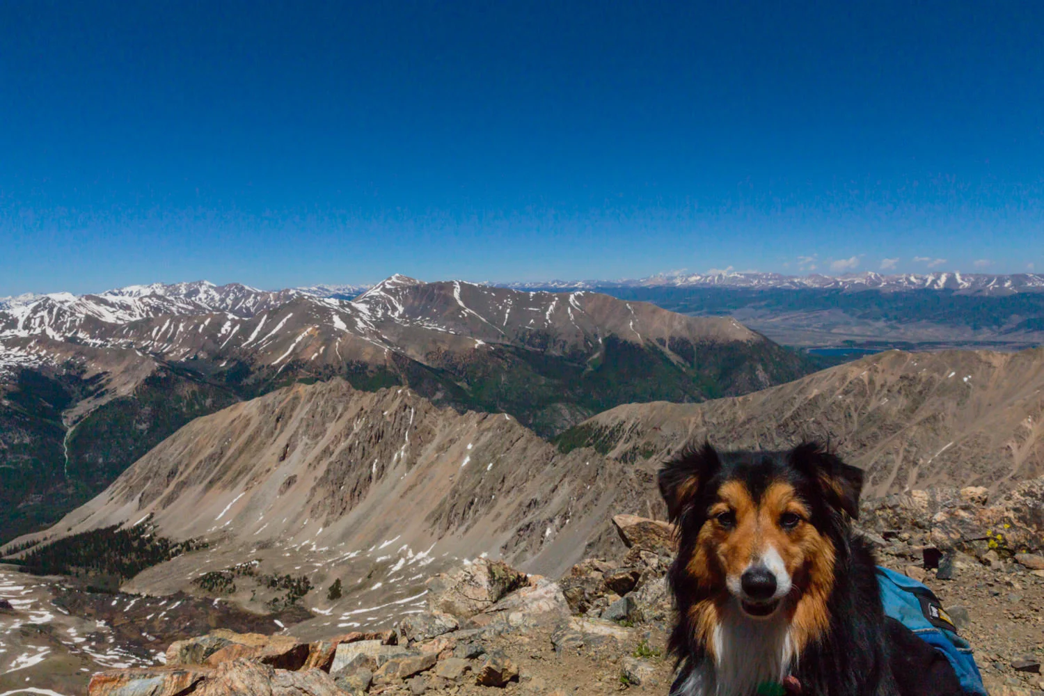 Summit Happiness