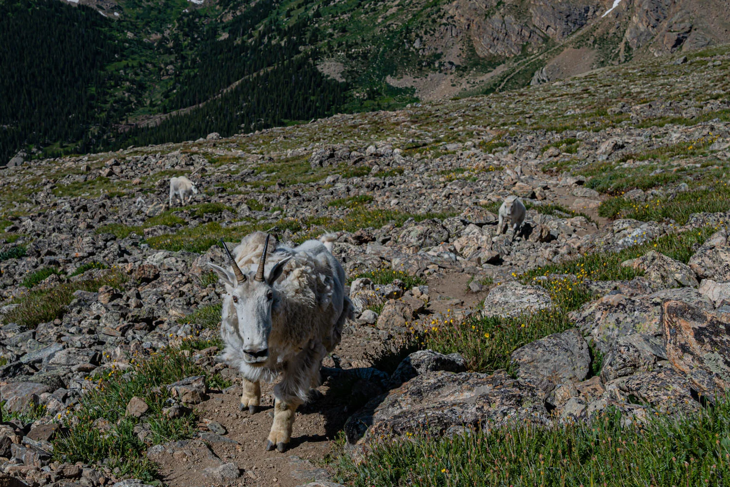 P1142338.jpg