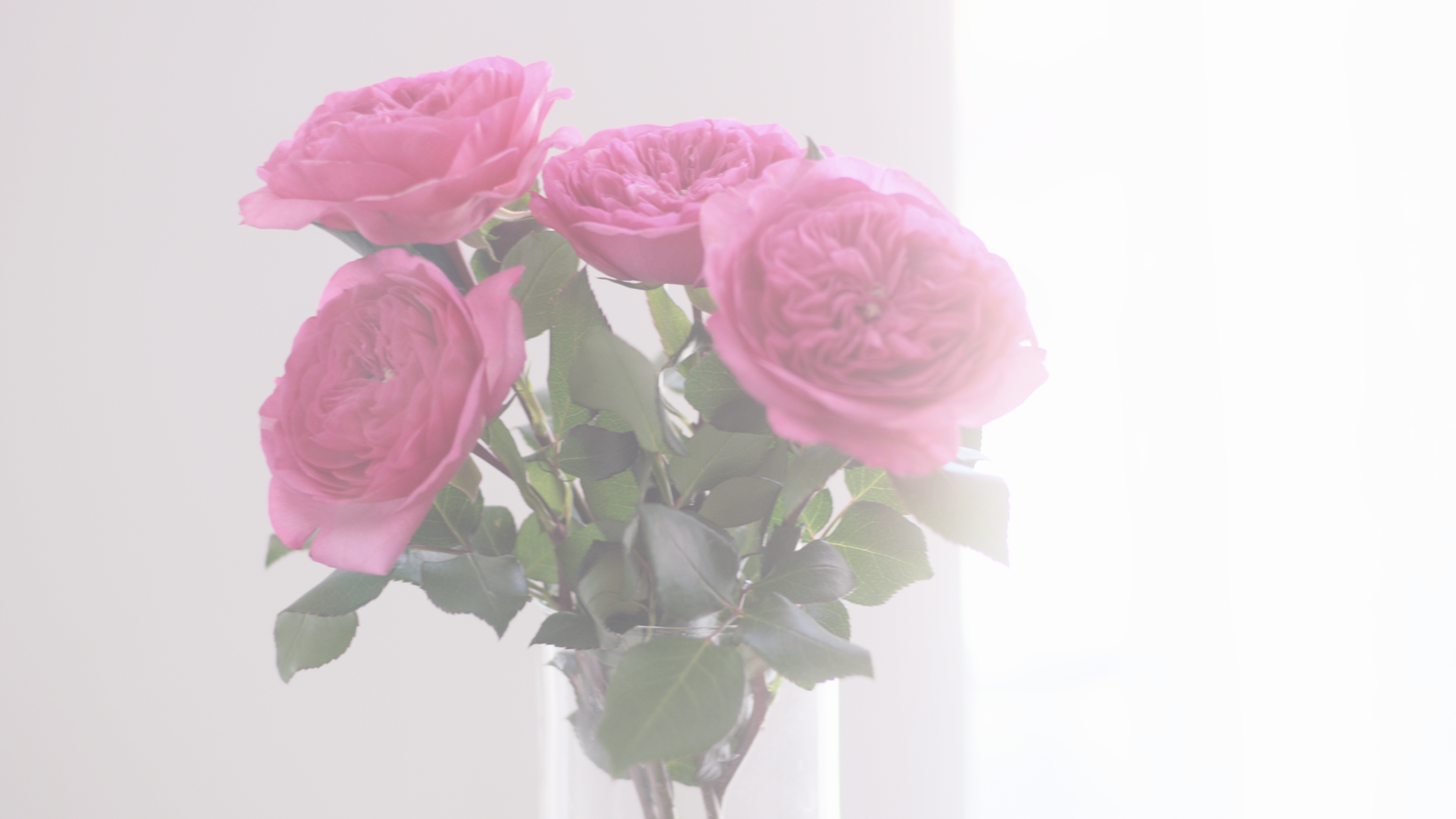 Screen Shot 2019-07-08 at 11.37.00 PM.png