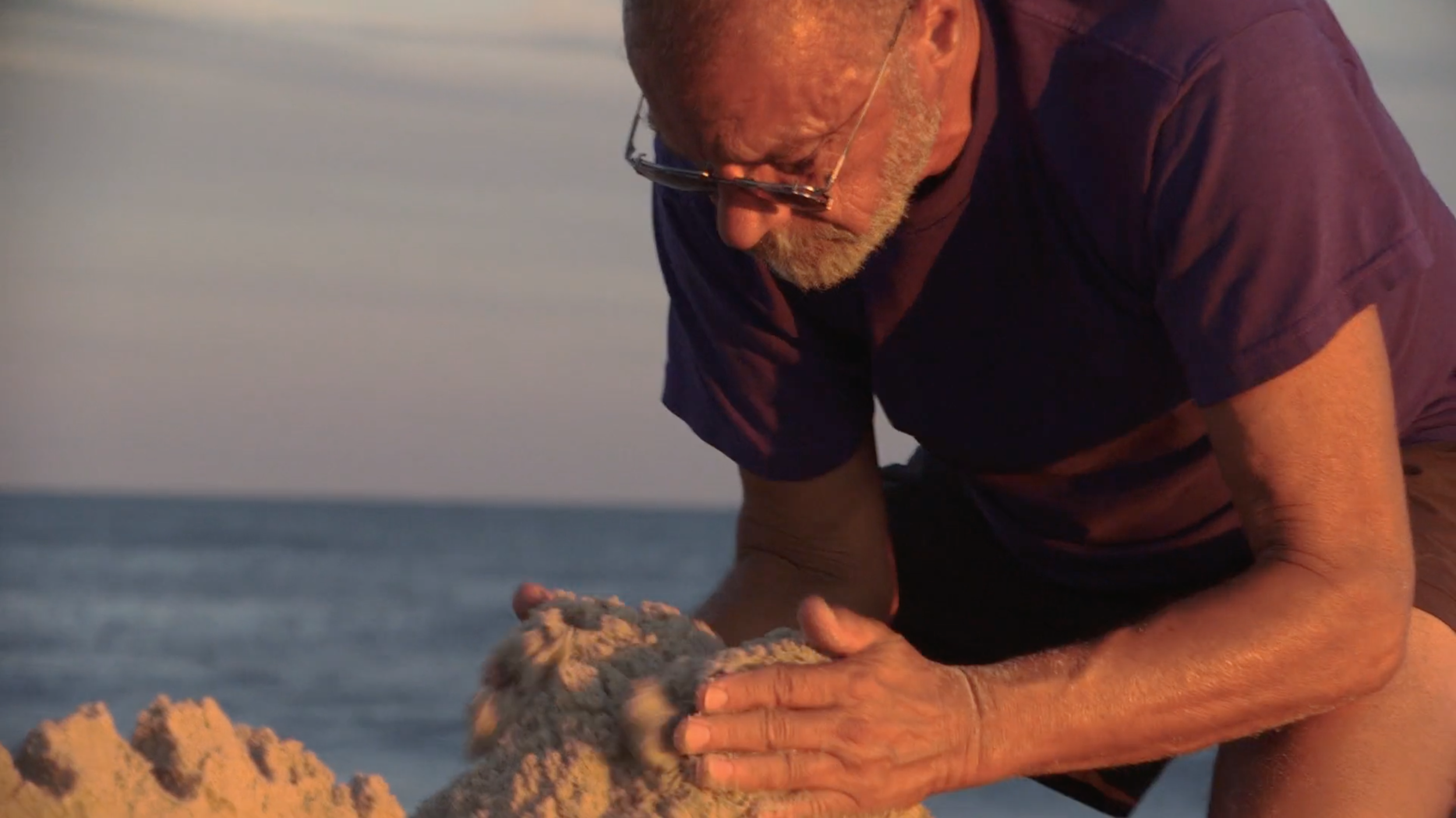 Screen Shot 2019-08-18 at 3.51.40 PM.png