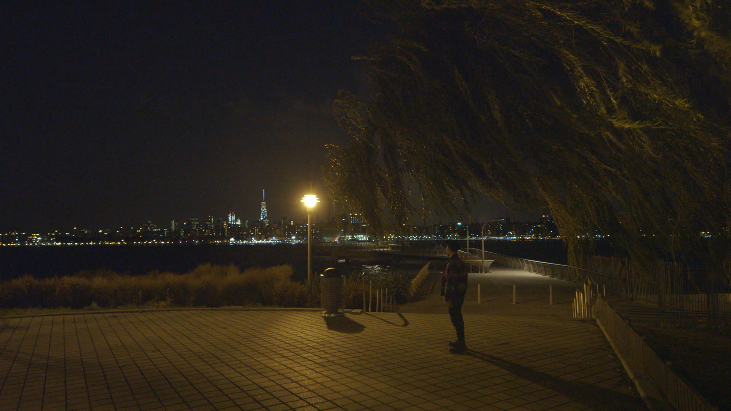 Screen Shot 2019-08-18 at 7.46.44 PM.png