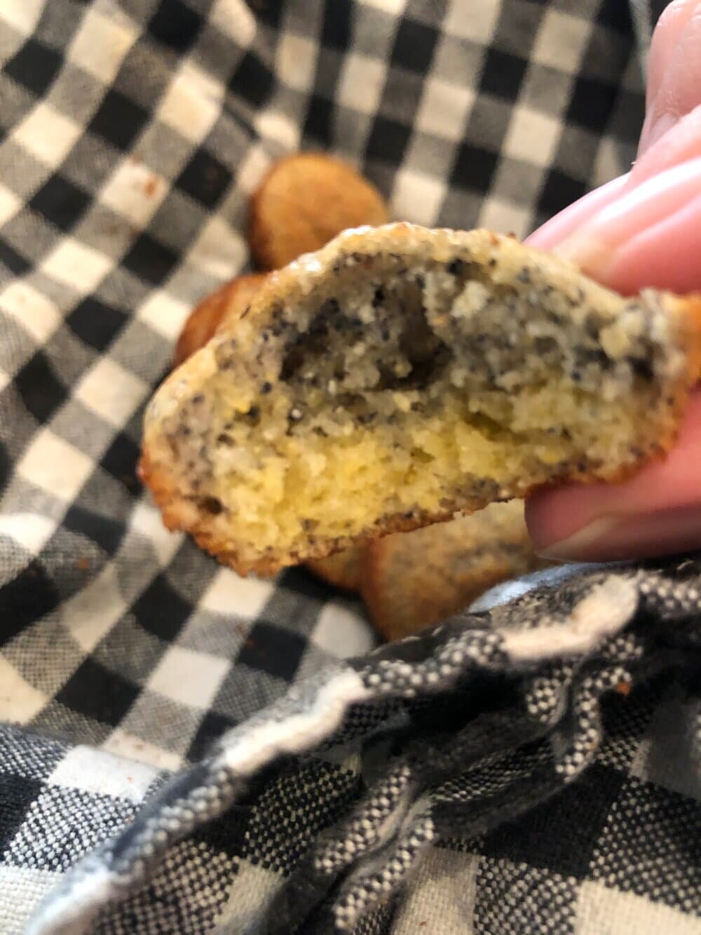 Found the half blue and half yellow cornmeal gluten free muffin