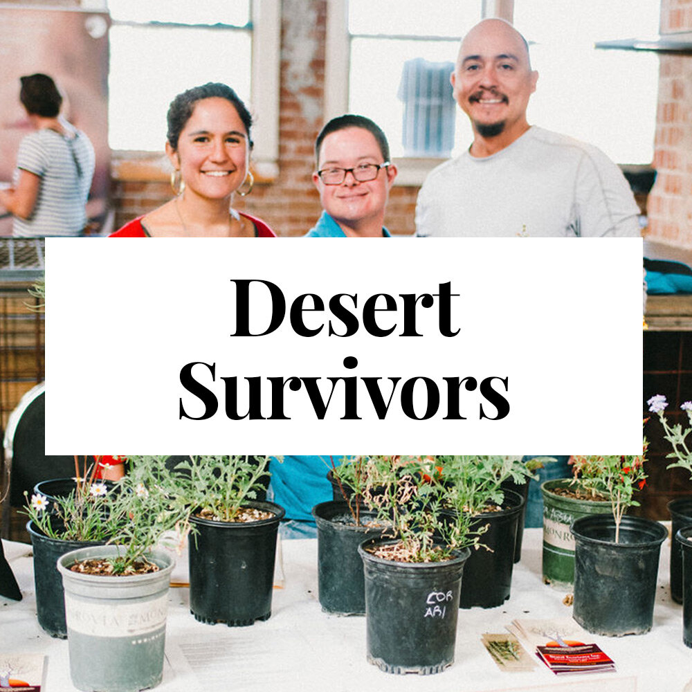 Desert-Survivors.jpg