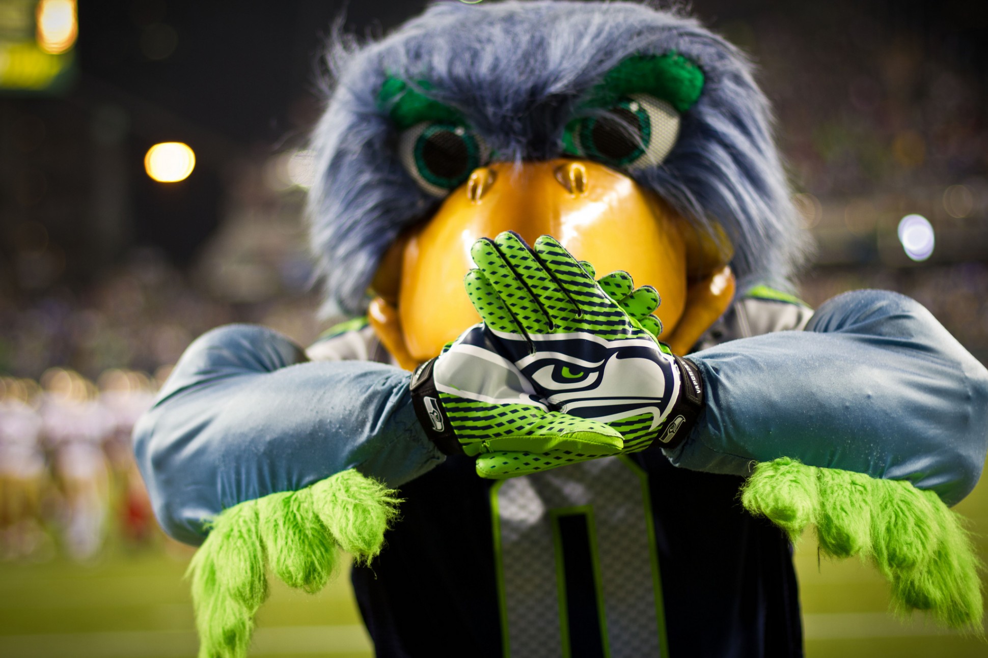 Here's a disappointed bird PHOTO: http://blogs-images.forbes.com/darrenheitner/files/2015/01/9791252246_26a8b5cb50_k-1940x1293.jpg