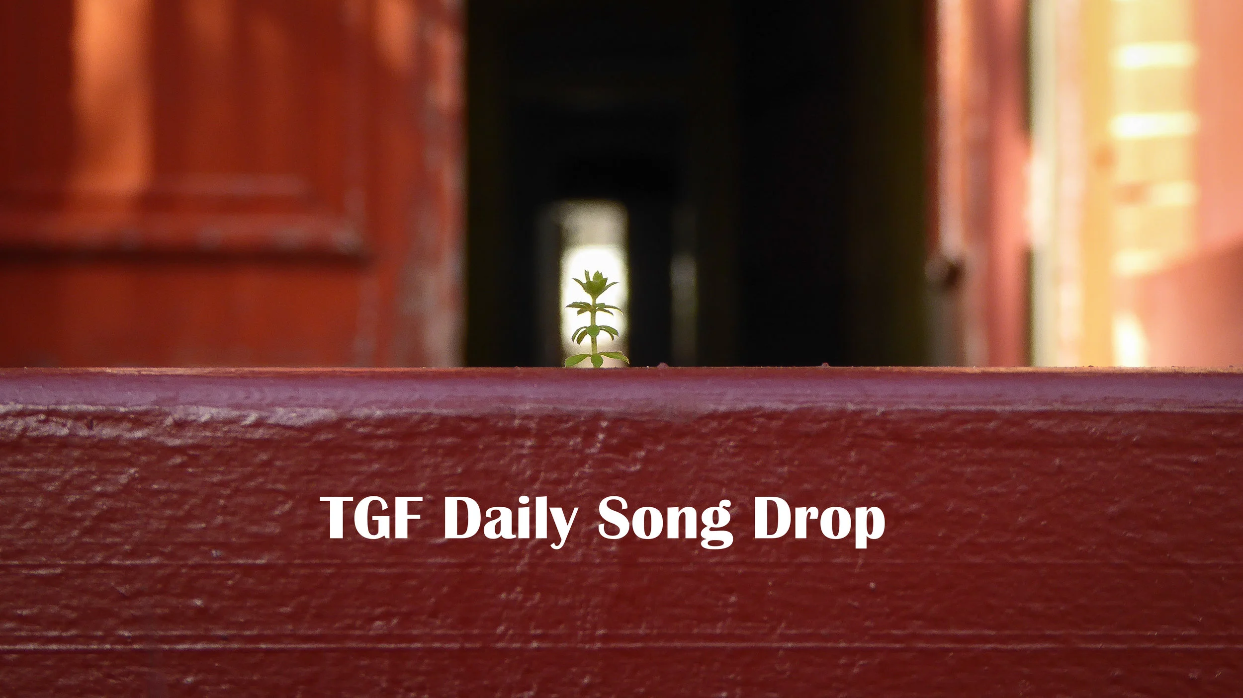 DSD October 12, 2017: "Nothing Lasts Forever (And It's Fine)" - Flora Cash