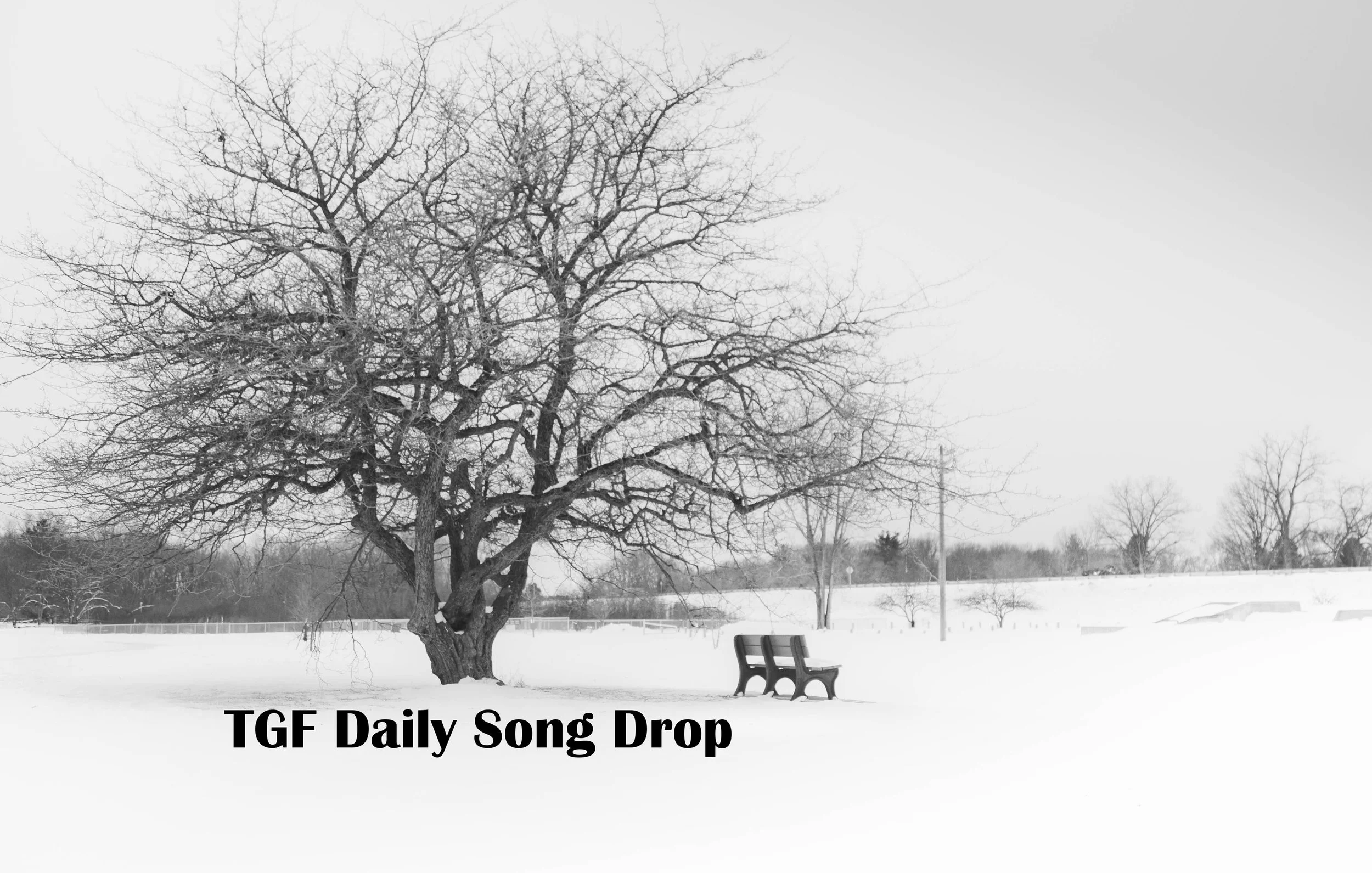 DSD December 21, 2017: "Forever" - Percival Elliott