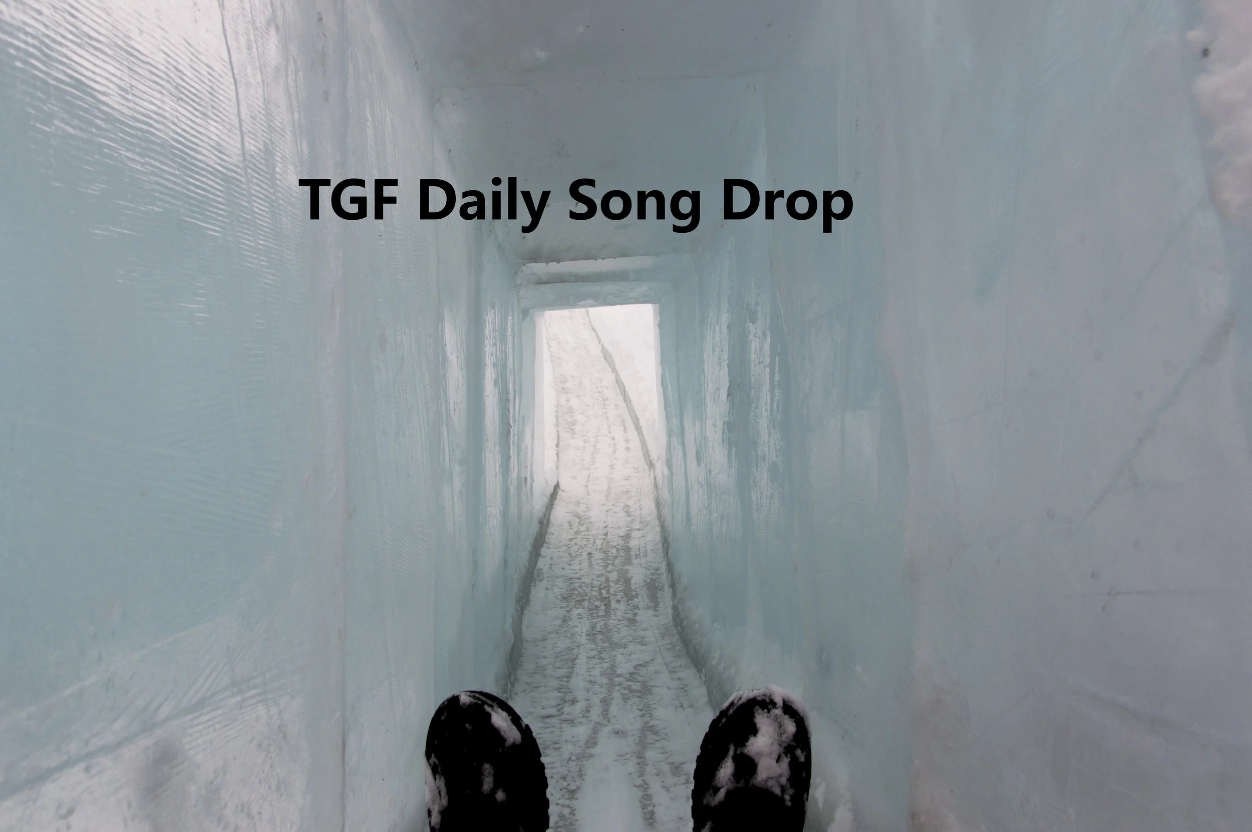 DSD January 8, 2018: "Flirty" - Le Dudes