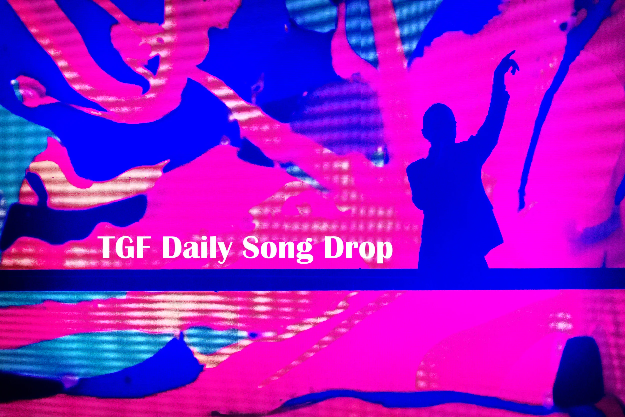 DSD February 16, 2018: "The Monster" - Bird Concerns 