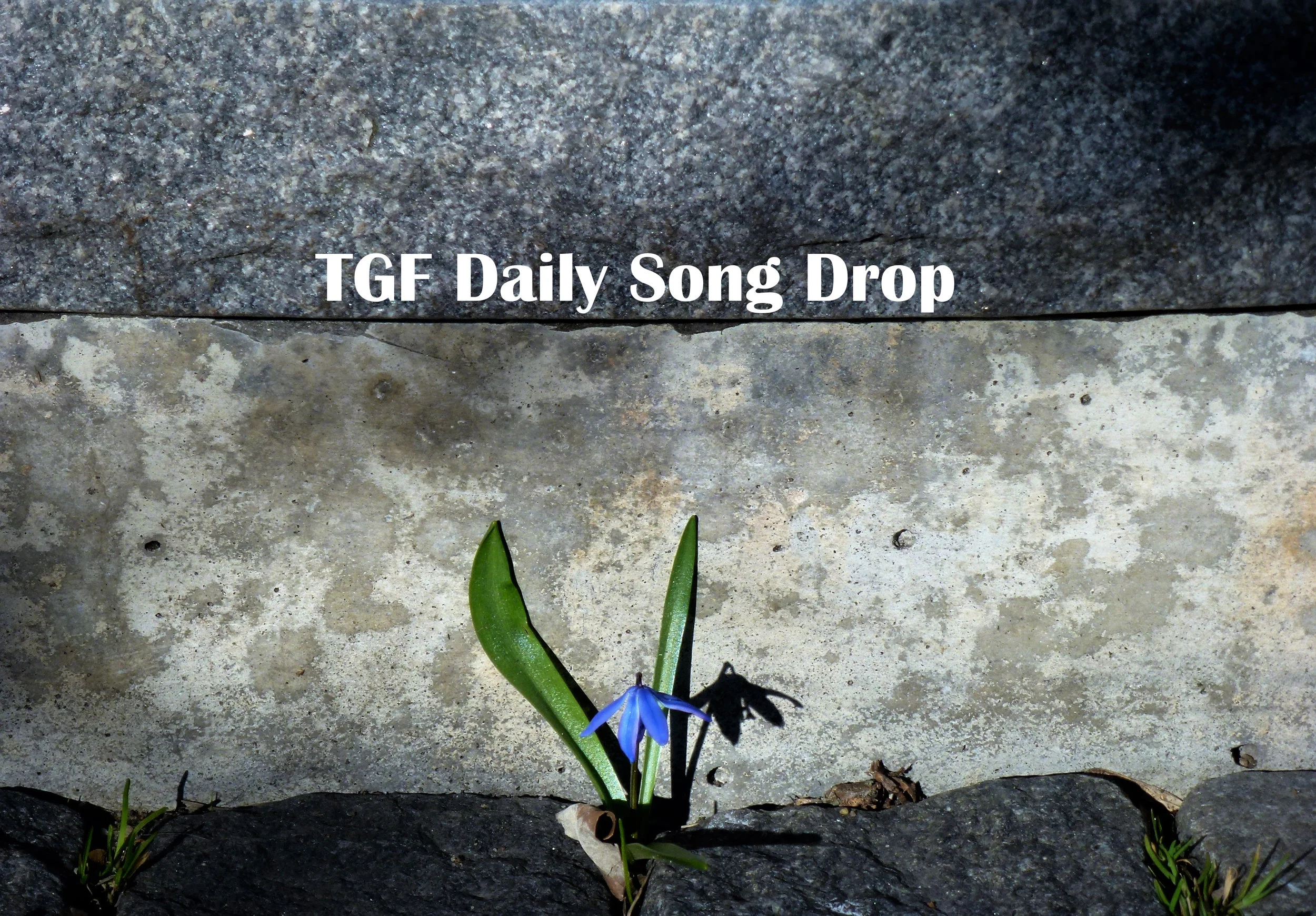DSD April 3, 2018: "Happiness" - Callum Pitt 