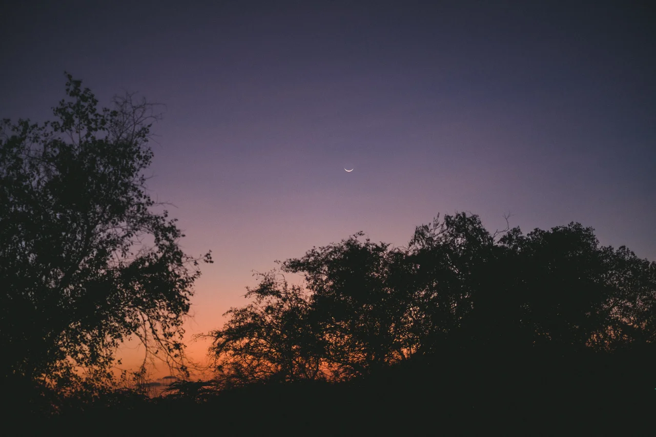 Dusk