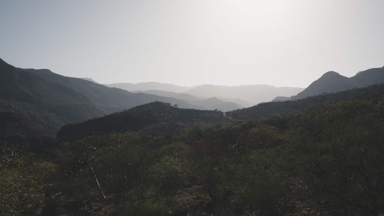 Nestled amongst the mountains in the Tadjoura region of central Djibouti, Bankouale is a hidden gem. The village plays home to an edenic garden, the oldest in the region.