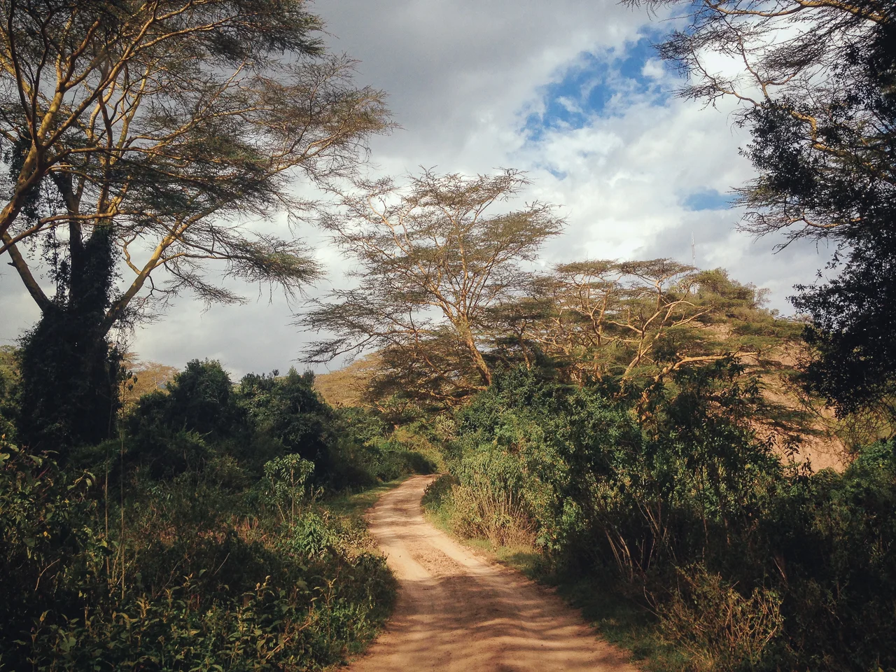 Narrow is the path