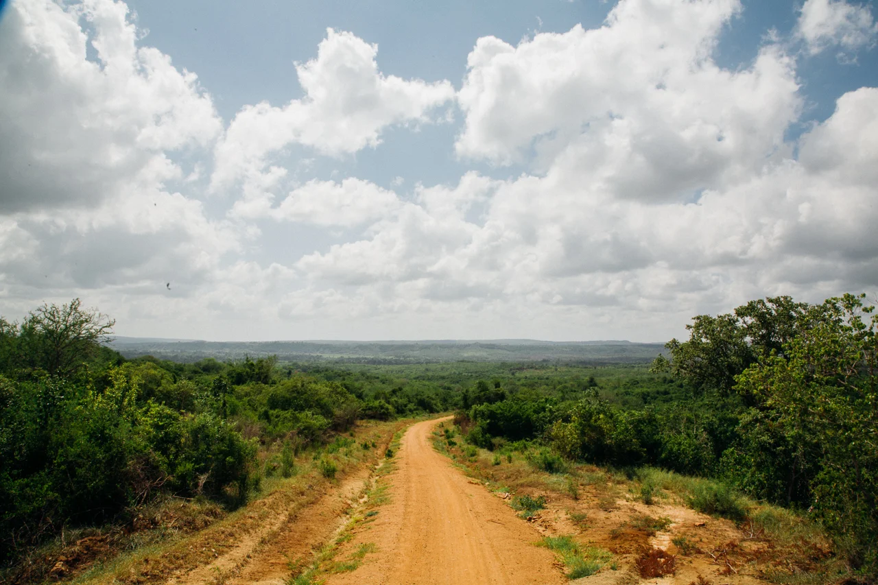 A road less traveled