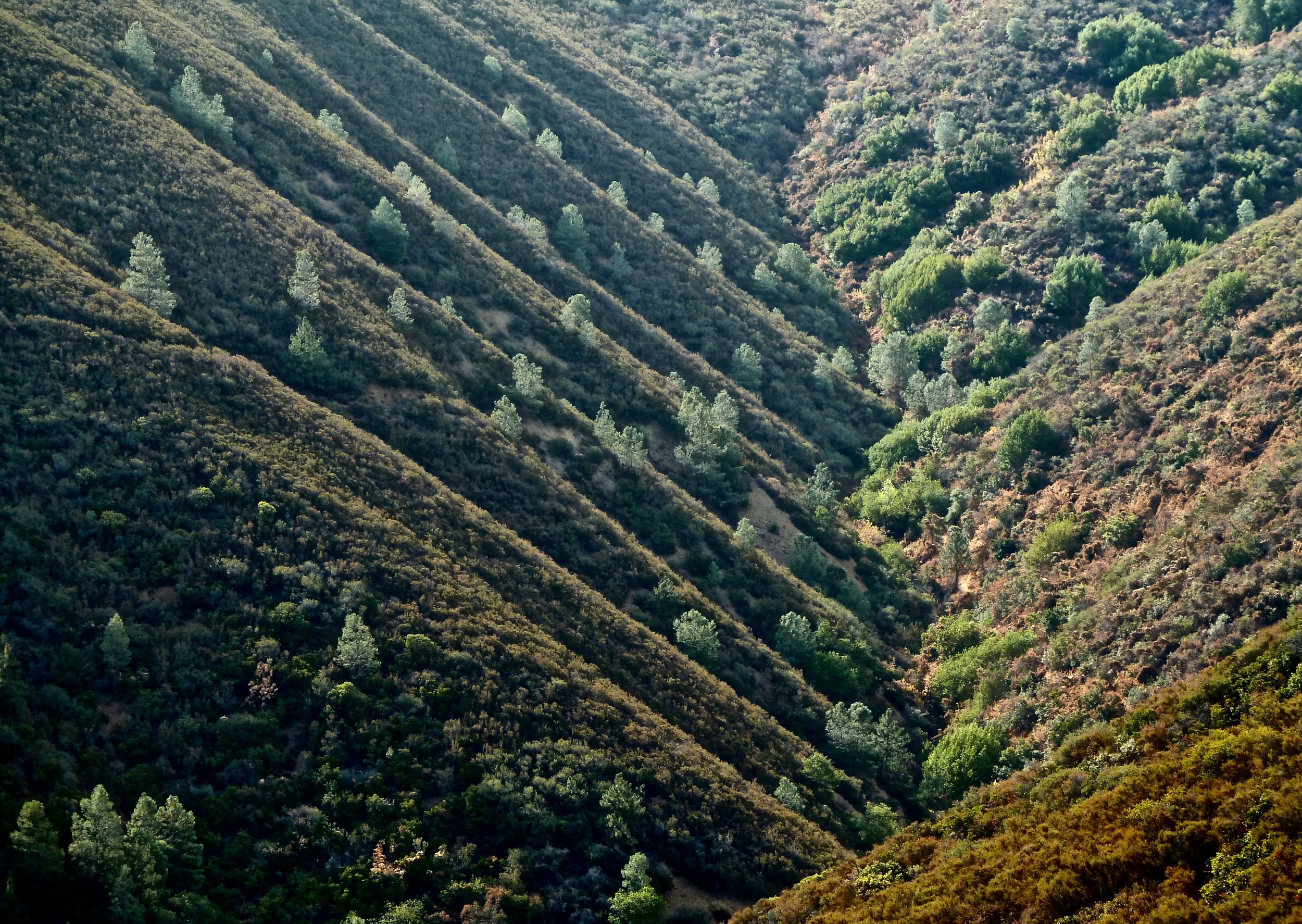 Back Creek Canyon viewed from the north terminus of Eagle Peak.