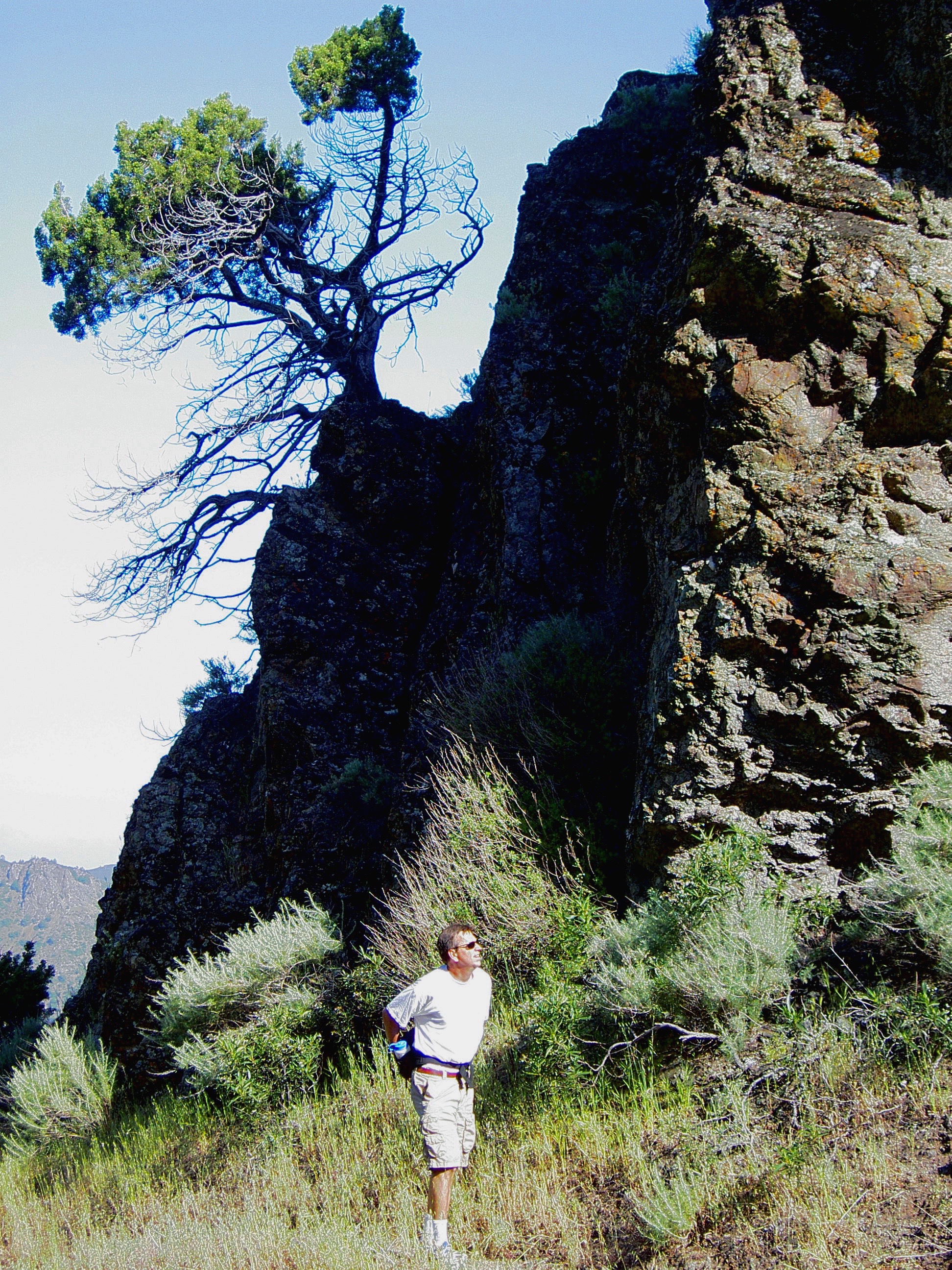 Kenny Koch enters Mt. Diablo's Falls Trail.