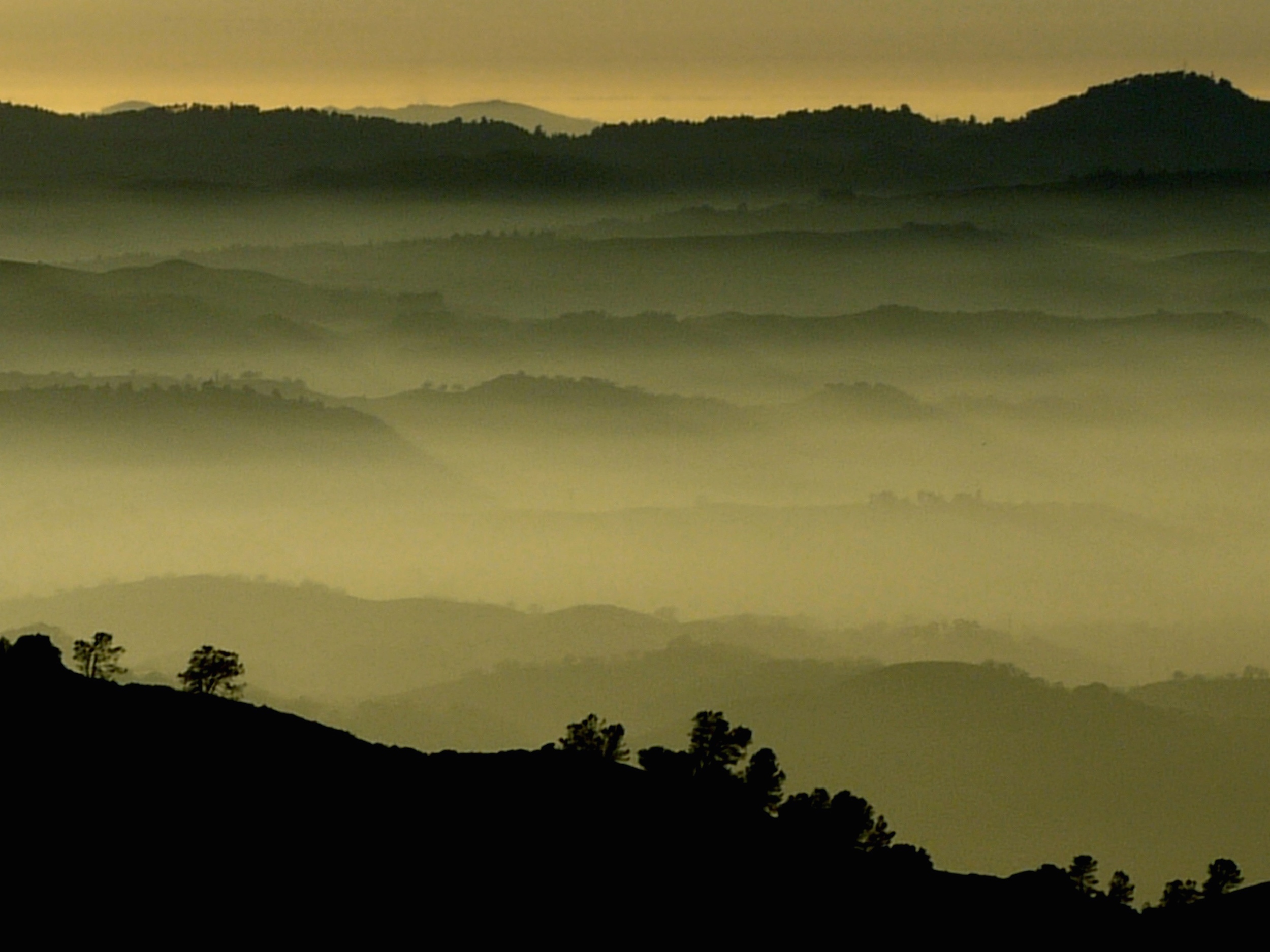 Diablo's western foothills slither through the fog.