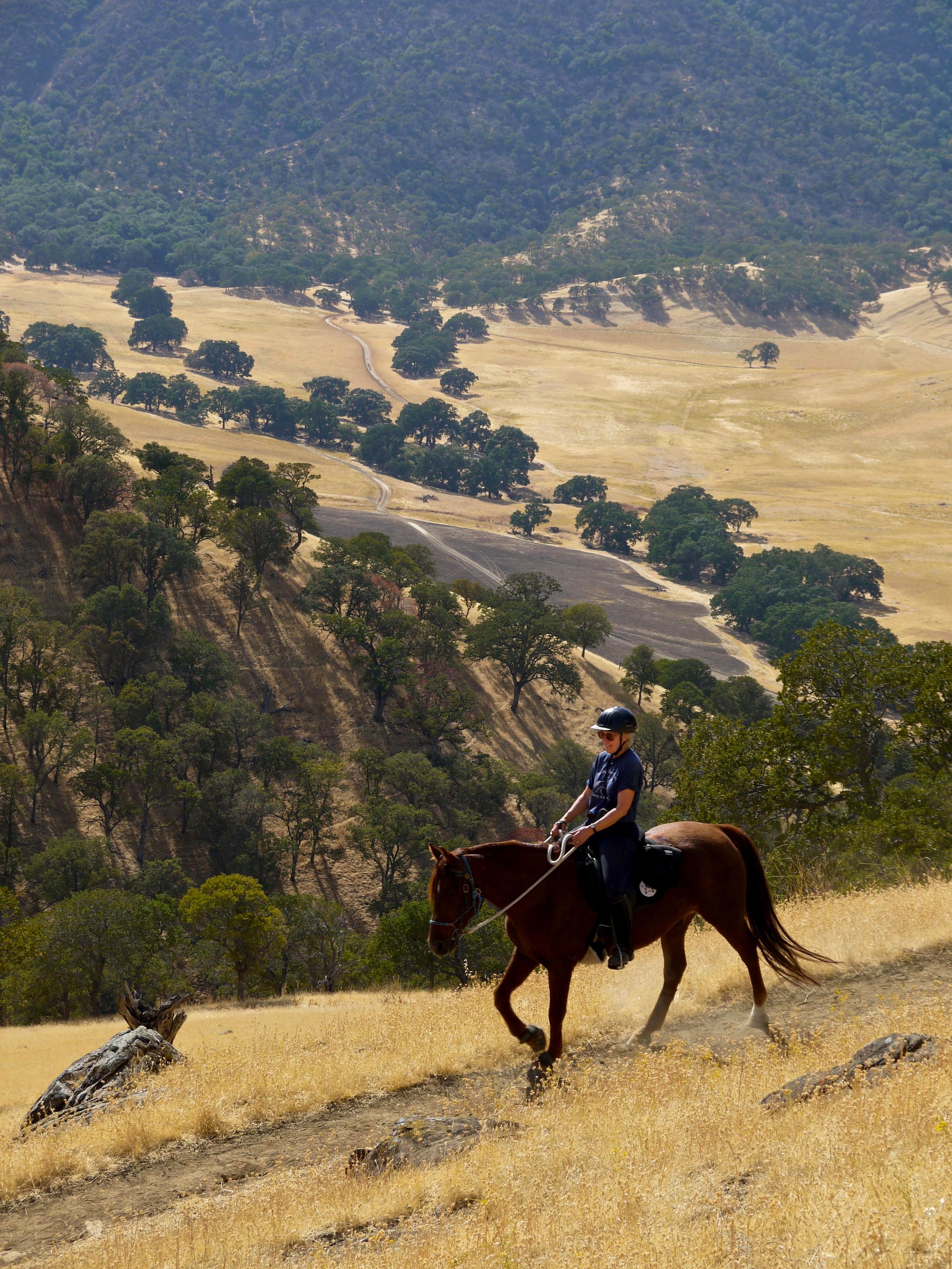 The Hardy Canyon Trail is a prime track for equestrians looking to move up in the world. 