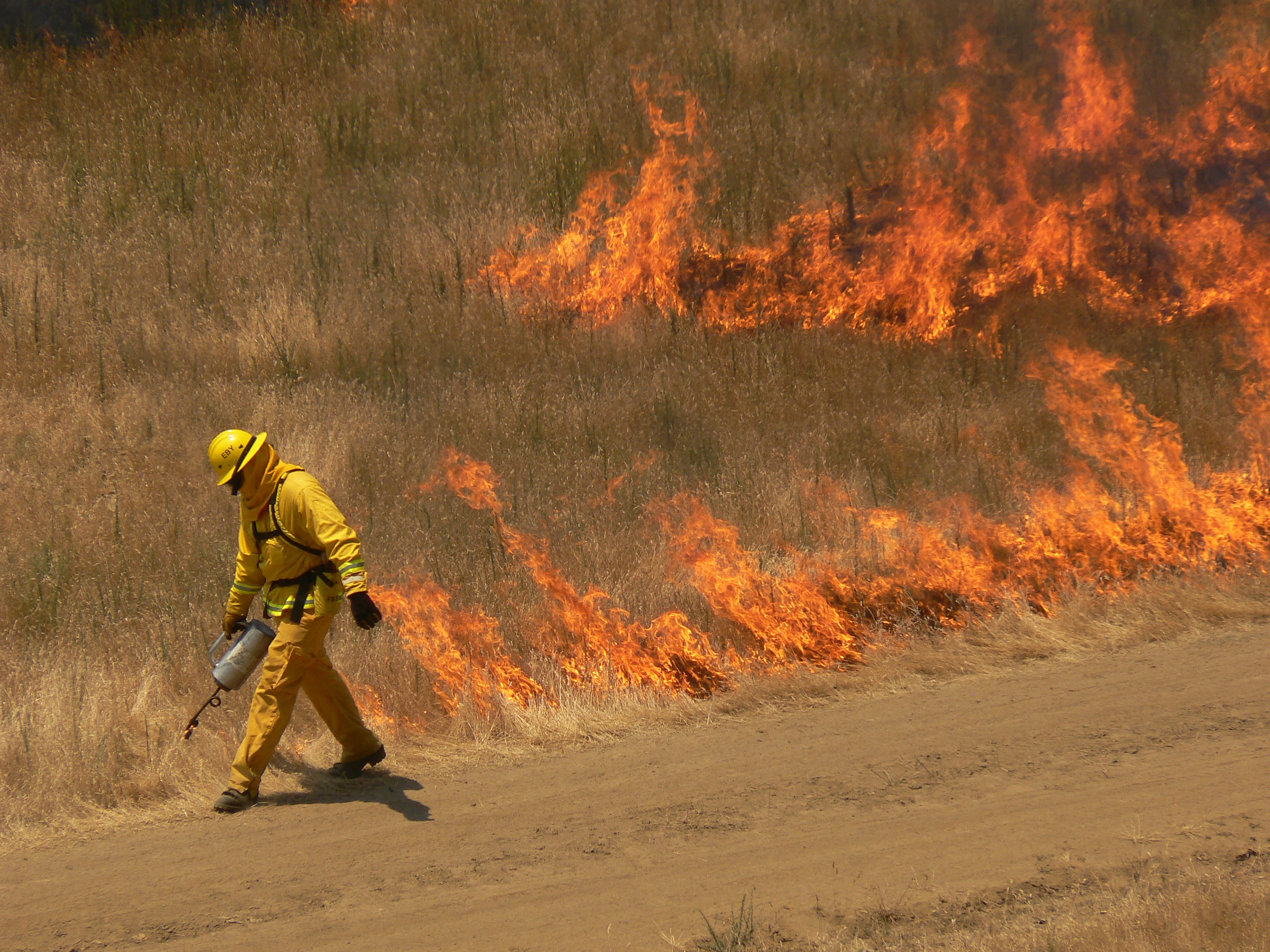 Prescribed burns in Murphy Meadow are set by the East Bay Regional Park District to prevent wildfires from spreading out of control.