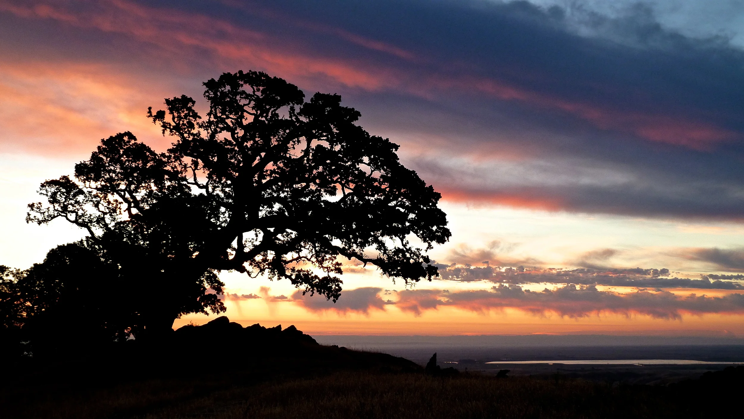 The summit of Round Valley Regional Preserve.