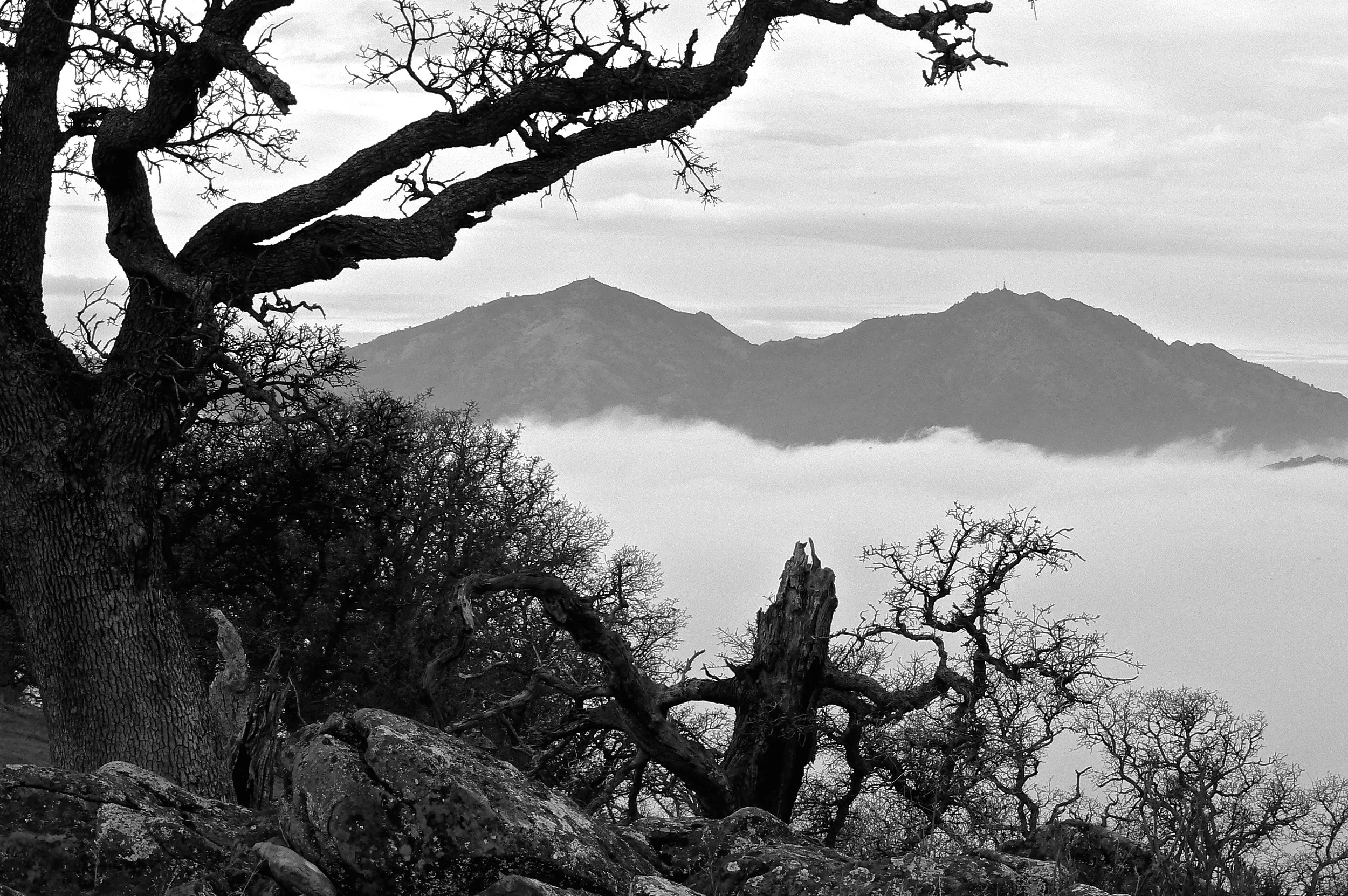The summit of Round Valley Regional Preserve.